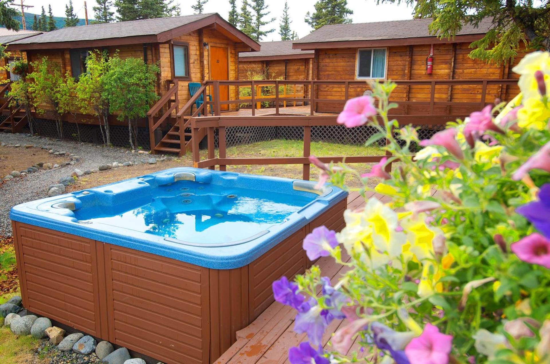Denali Cabins photo 22
