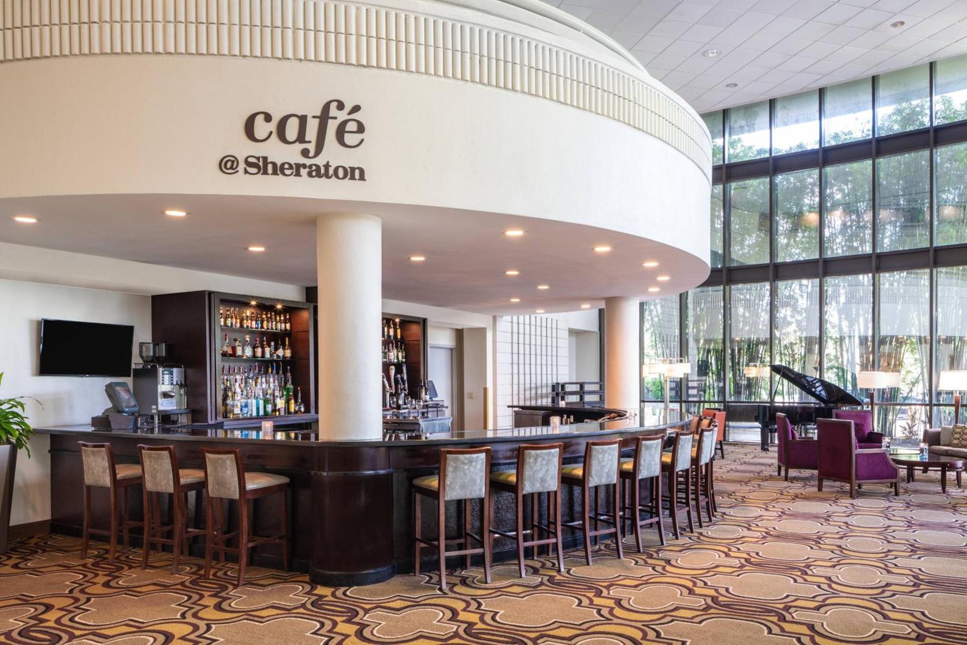 Sheraton Tampa Brandon Hotel photo 23