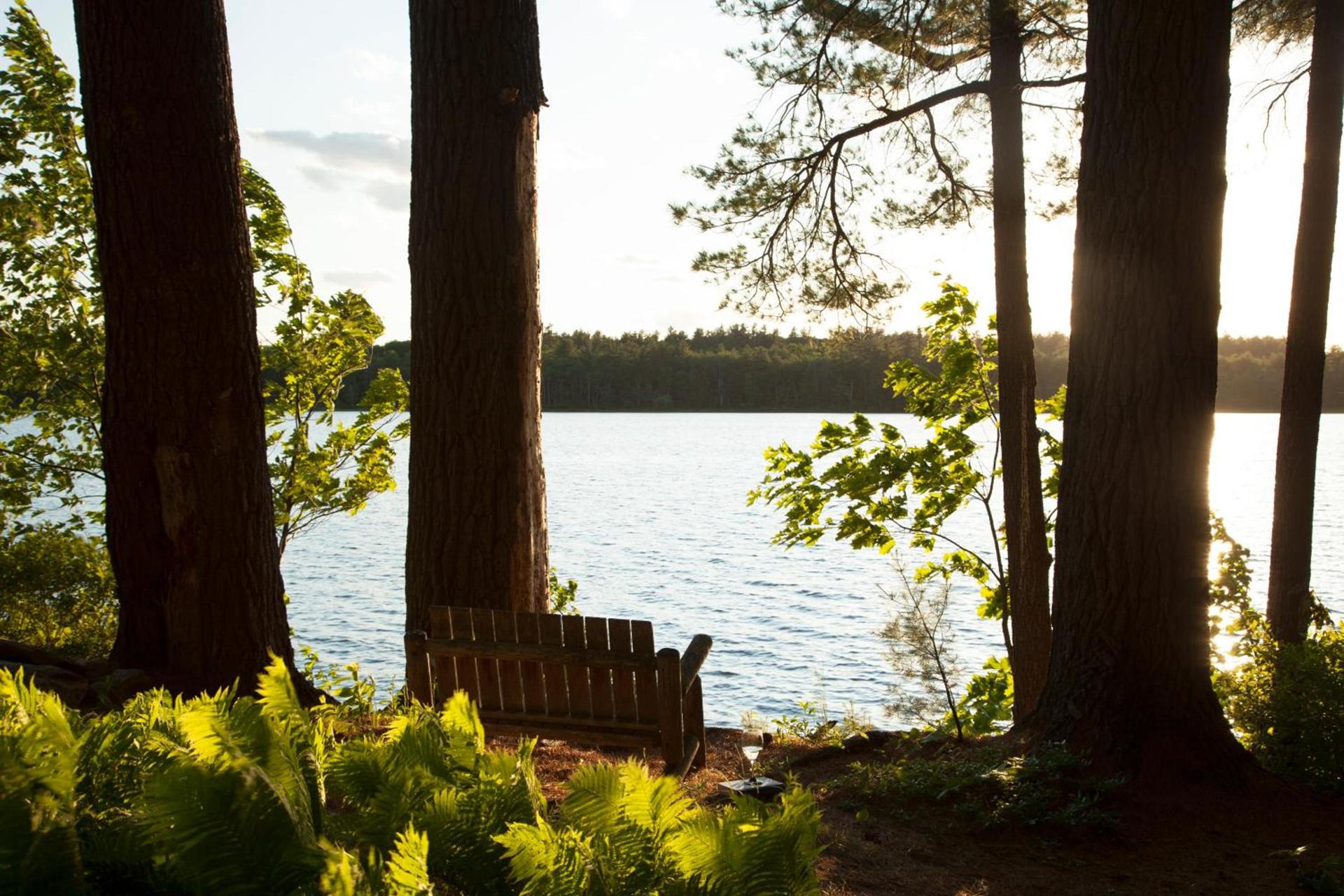 Wolf Cove Inn photo 48