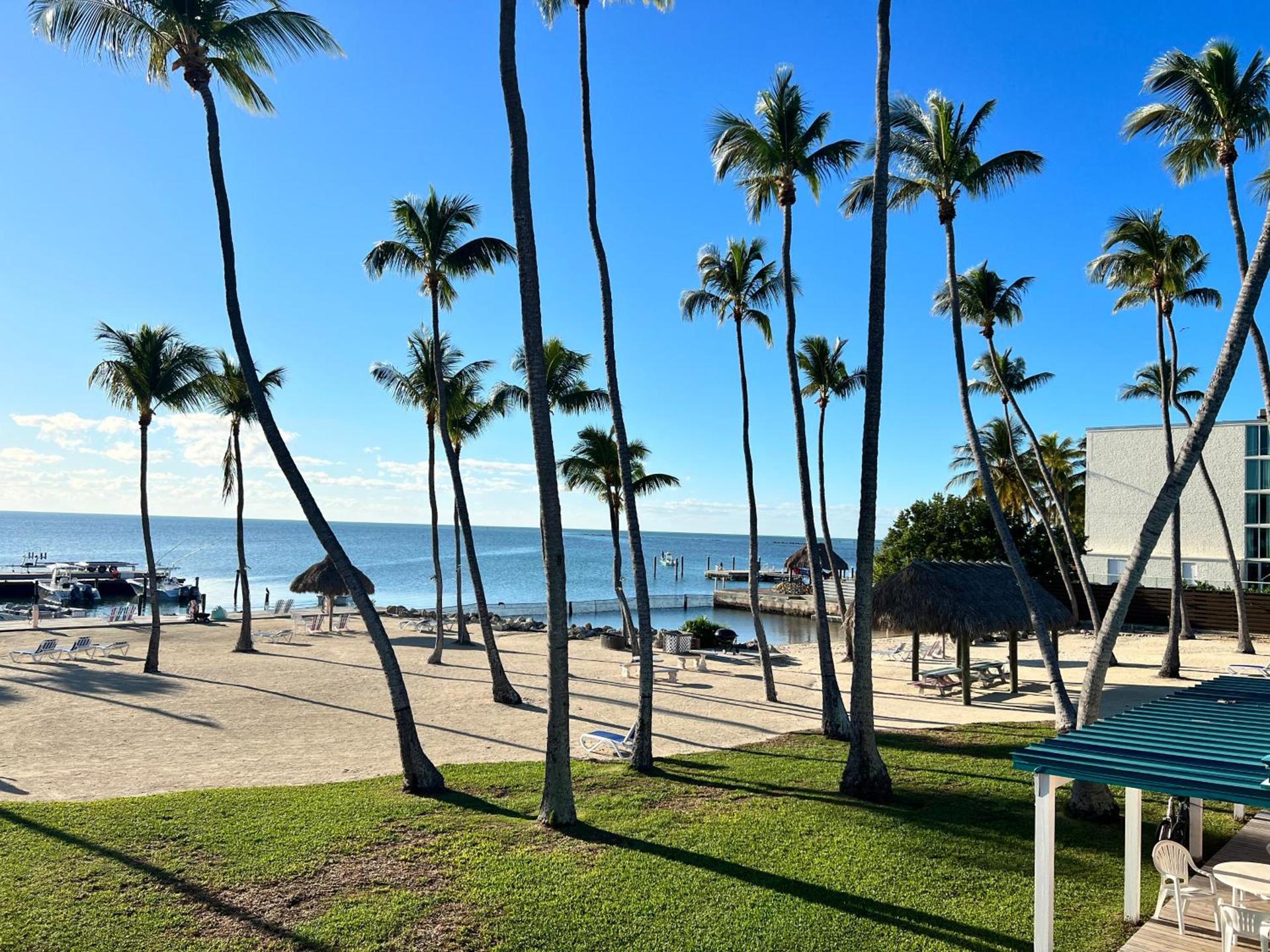 Breezy Palms Resort photo 41