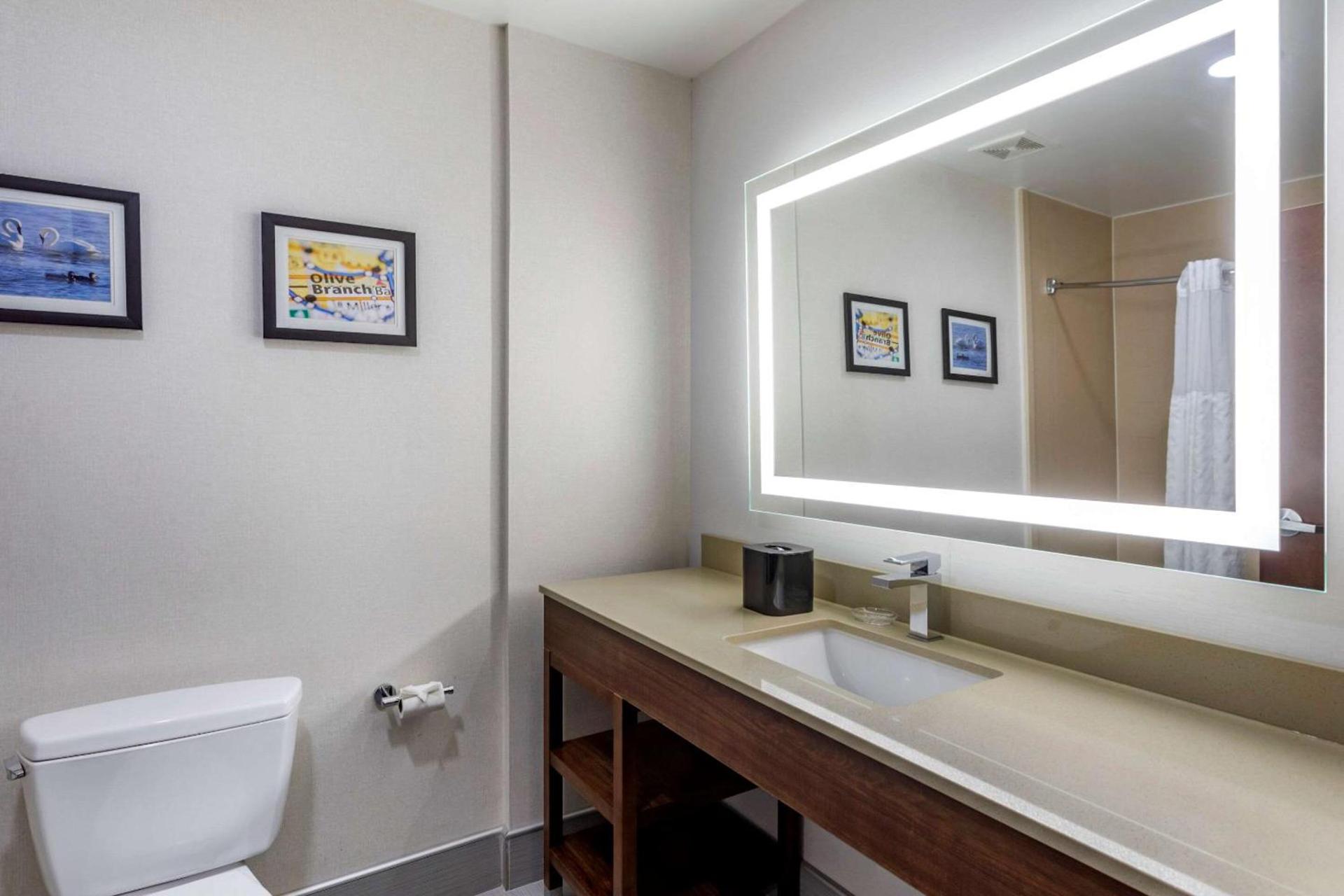 Comfort Suites Olive Branch - Memphis South photo 14