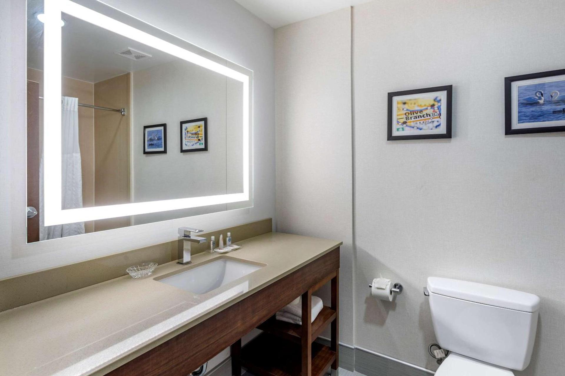 Comfort Suites Olive Branch - Memphis South photo 25