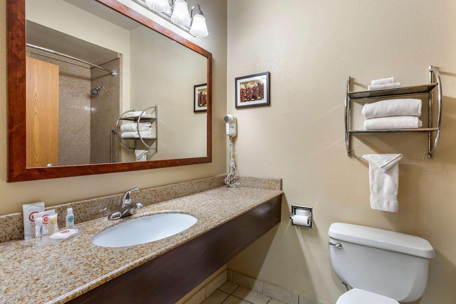 Comfort Inn & Suites Deming photo 22