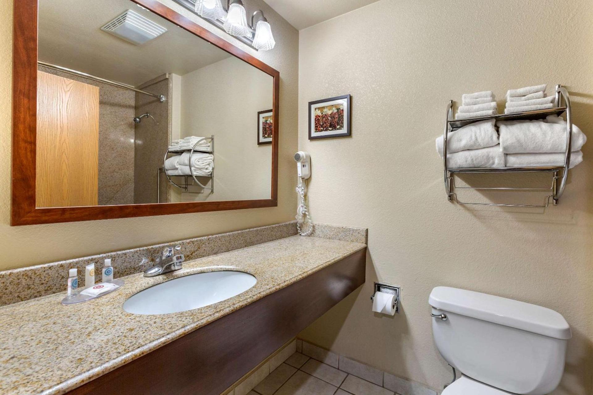 Comfort Inn & Suites Deming photo 30