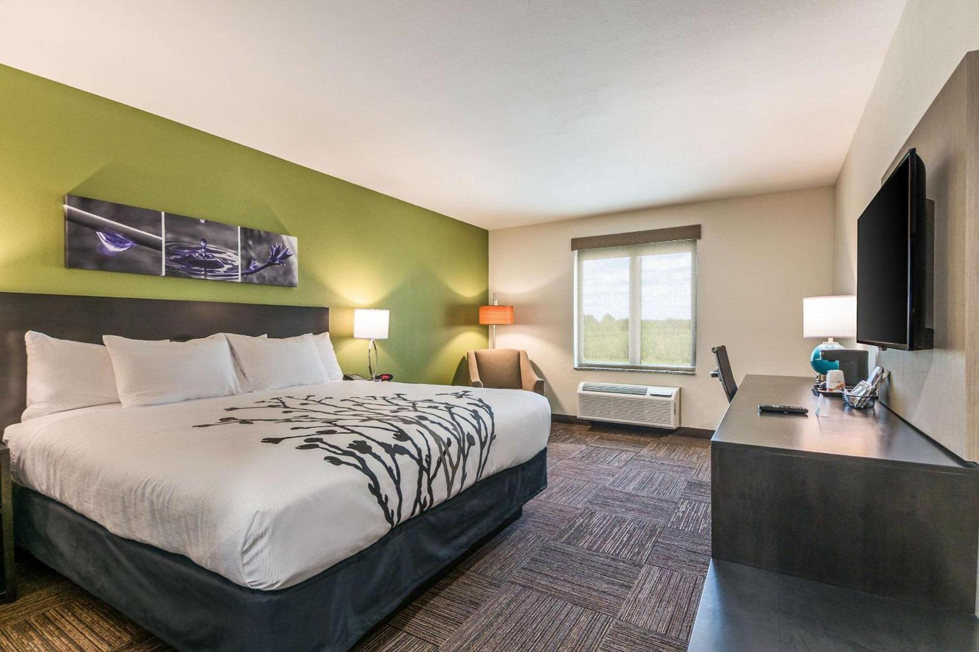 Sleep Inn Baxley photo 2