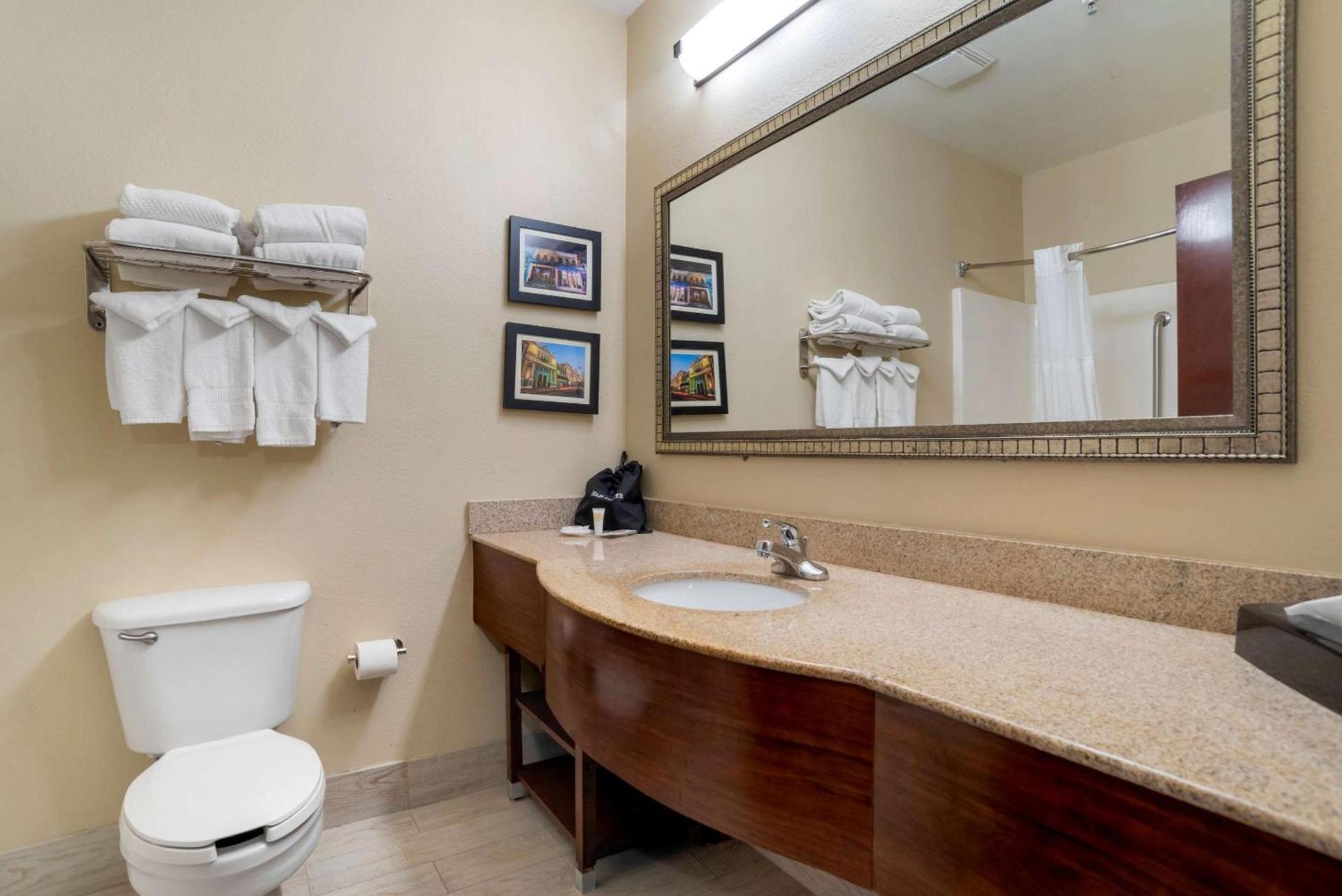 Comfort Suites Daphne - Mobile East Bay photo 17