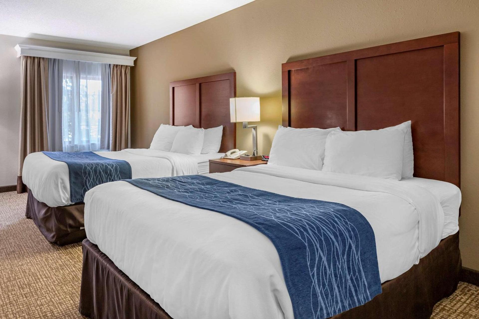 Comfort Inn Downtown - University Area photo 16