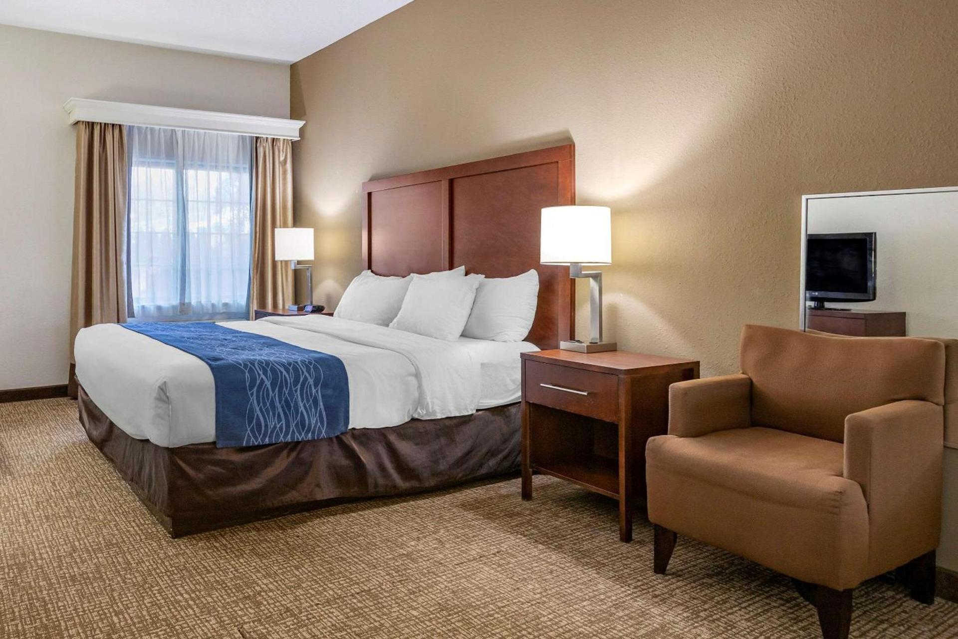 Comfort Inn Downtown - University Area photo 22