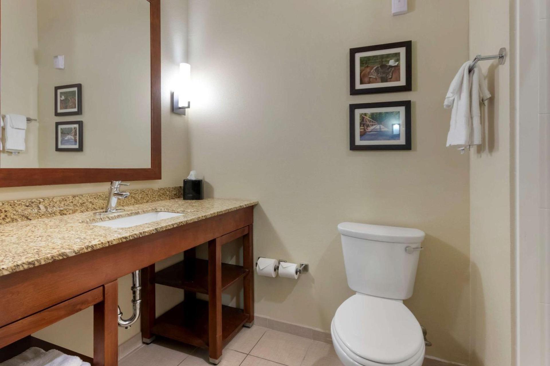 Comfort Suites Billings photo 15