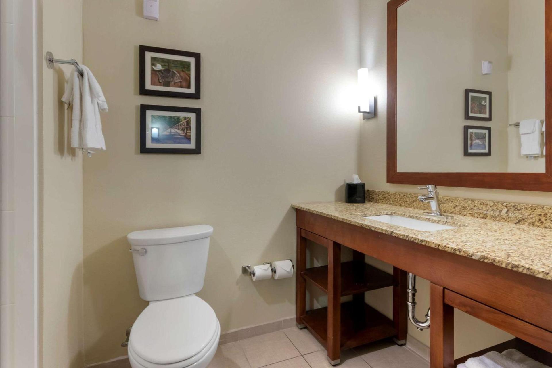 Comfort Suites Billings photo 19