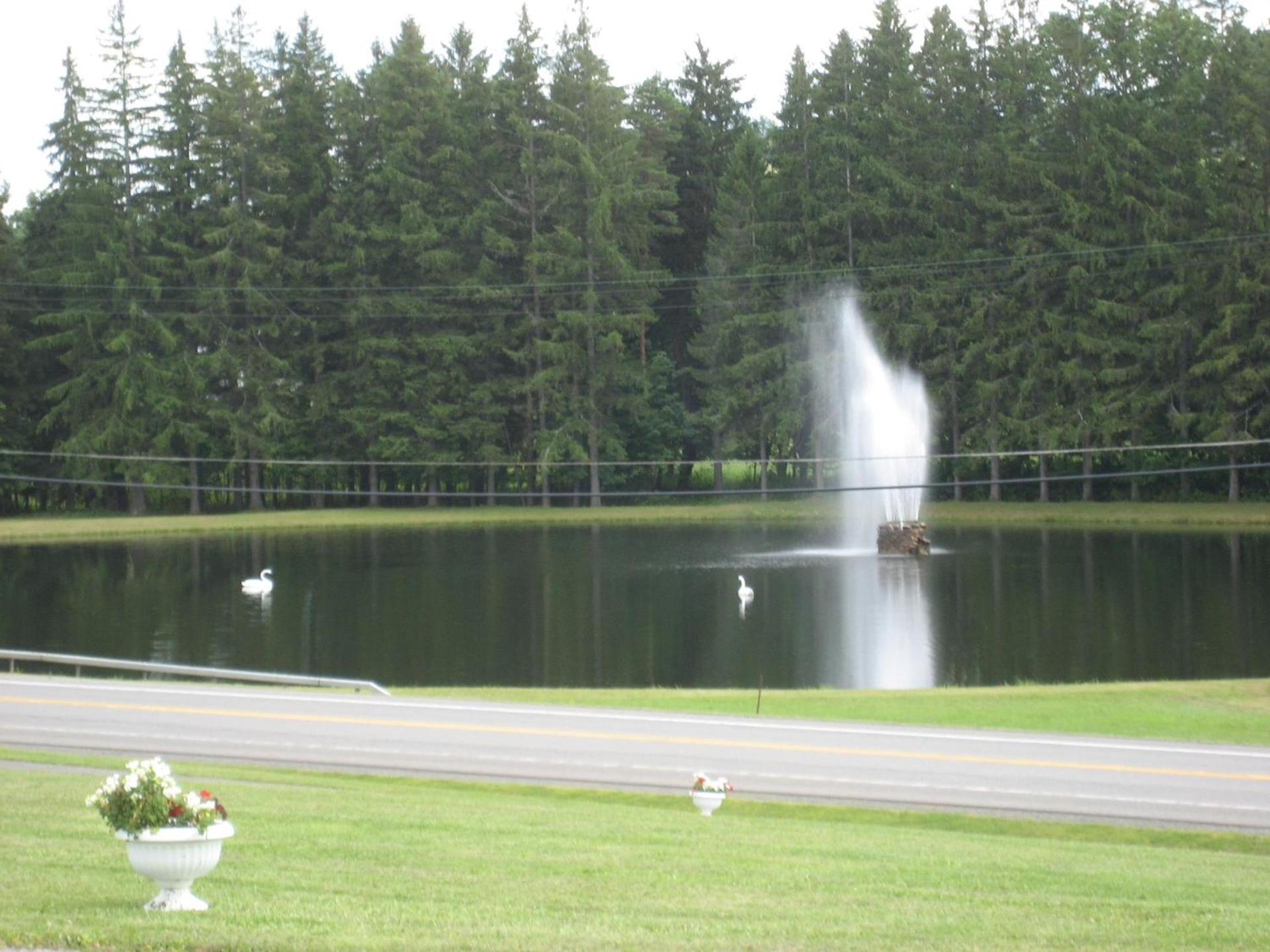Fountain View Motel photo 8