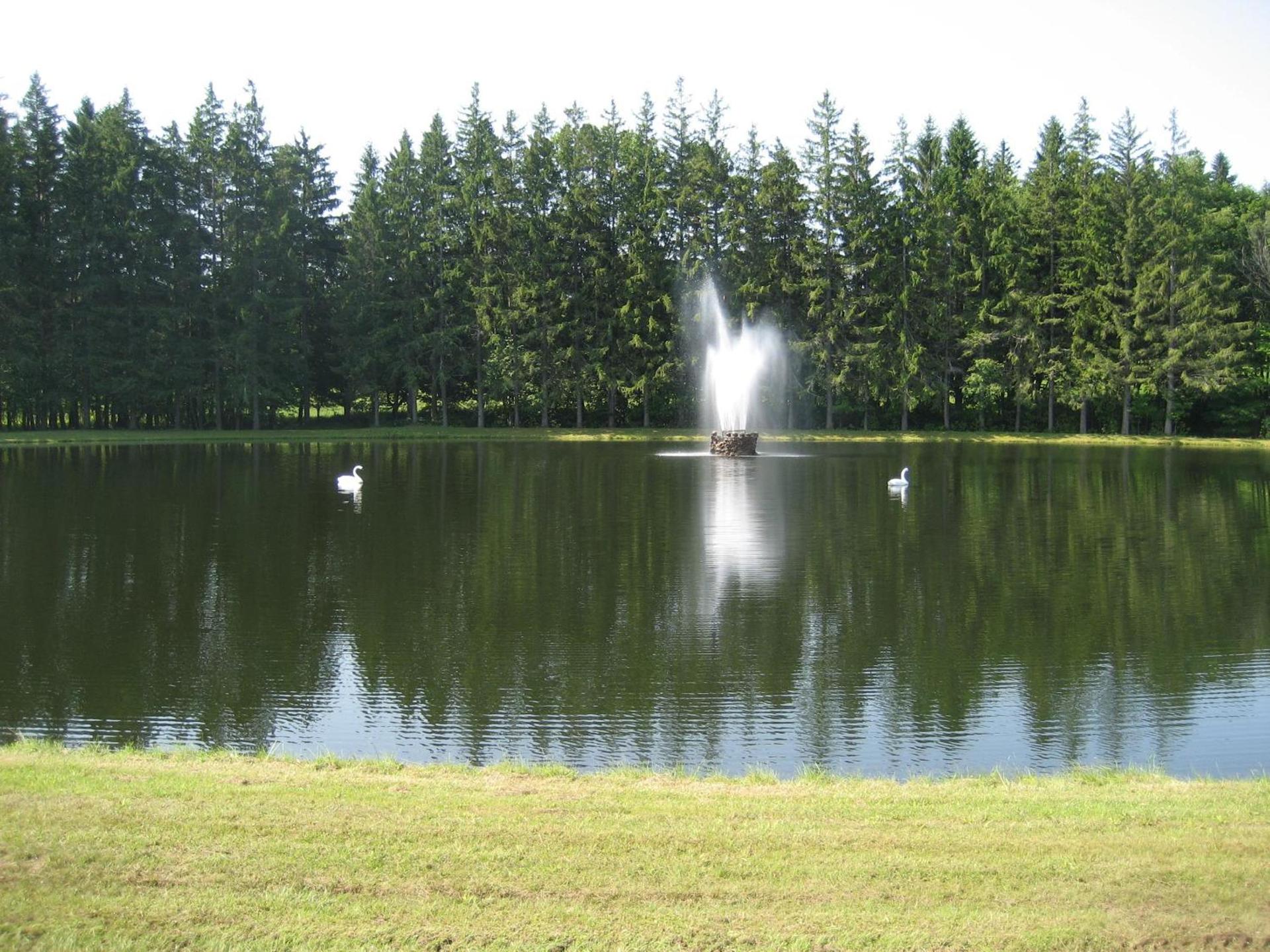 Fountain View Motel photo 7
