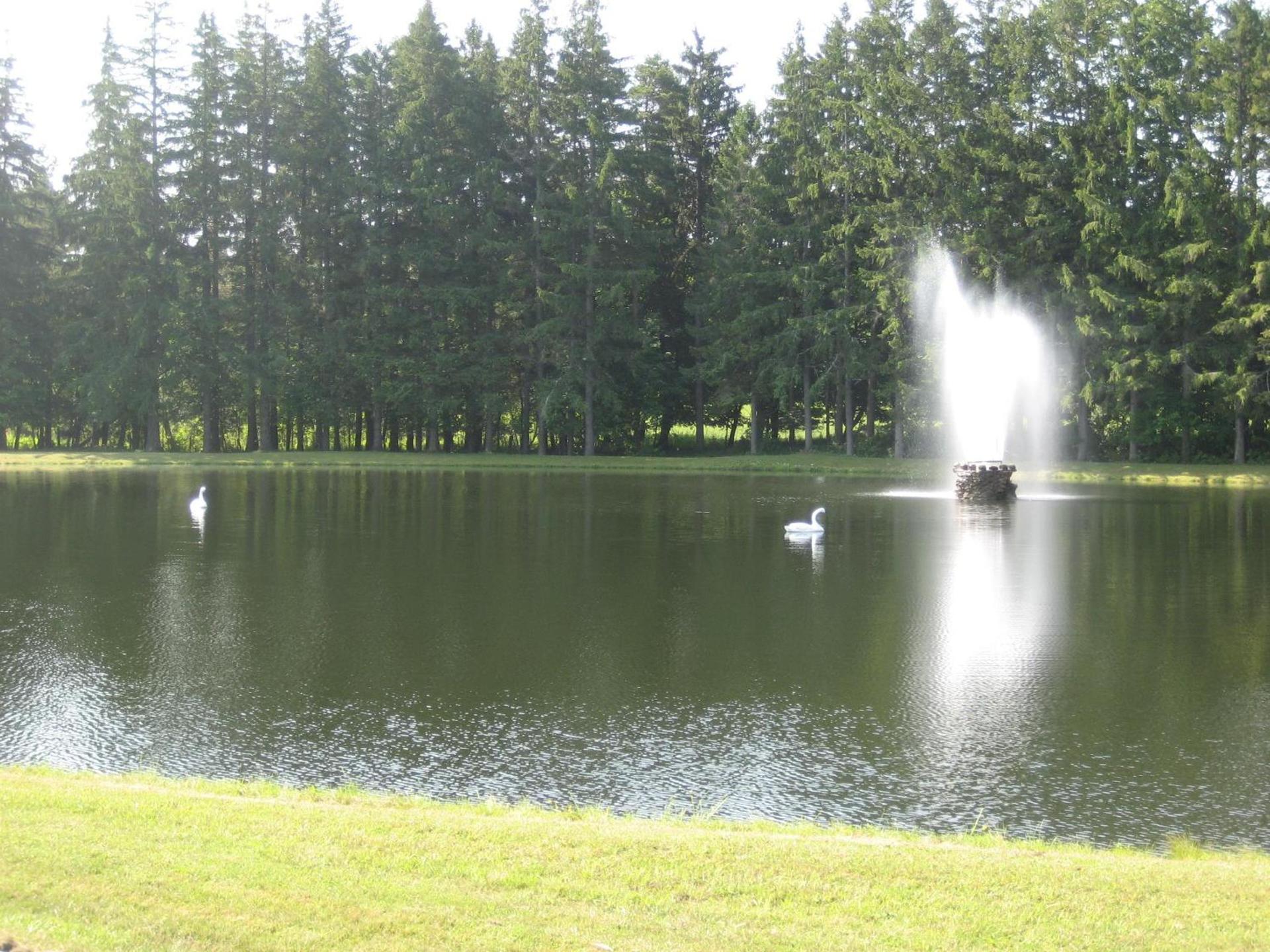 Fountain View Motel photo 9