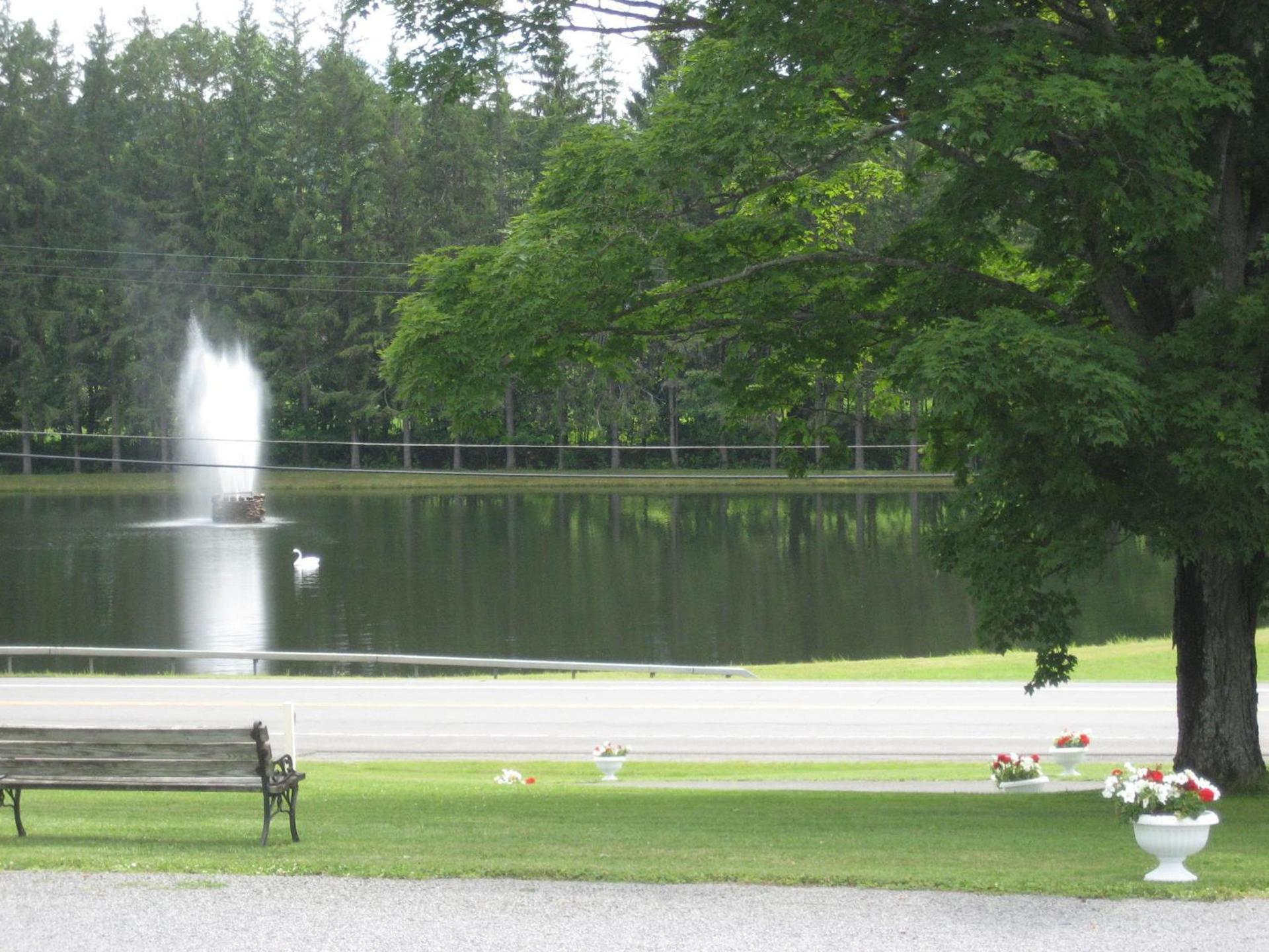 Fountain View Motel photo 10