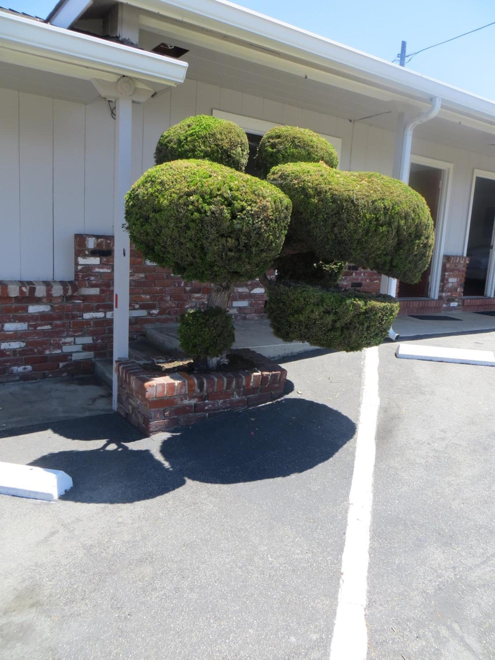Old Marina Inn photo 14