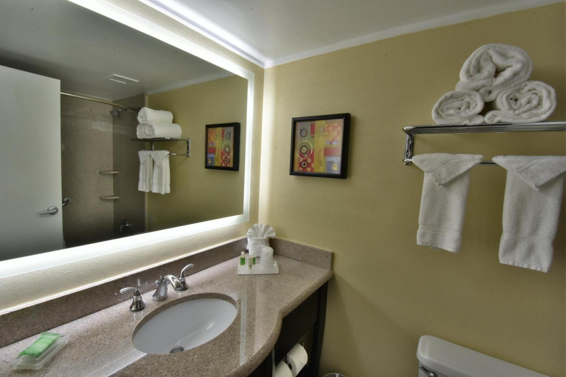 Holiday Inn Orlando East-UCF Area by IHG photo 26