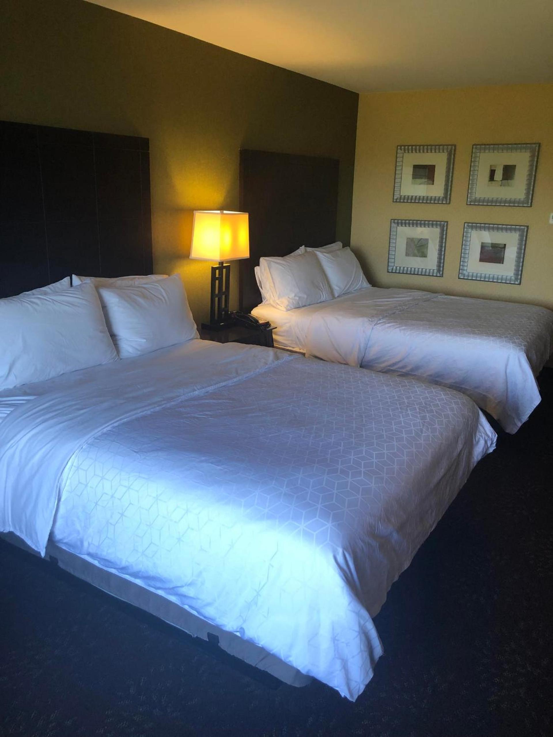 Holiday Inn Express Hotel & Suites Lansing-Dimondale by IHG photo 4