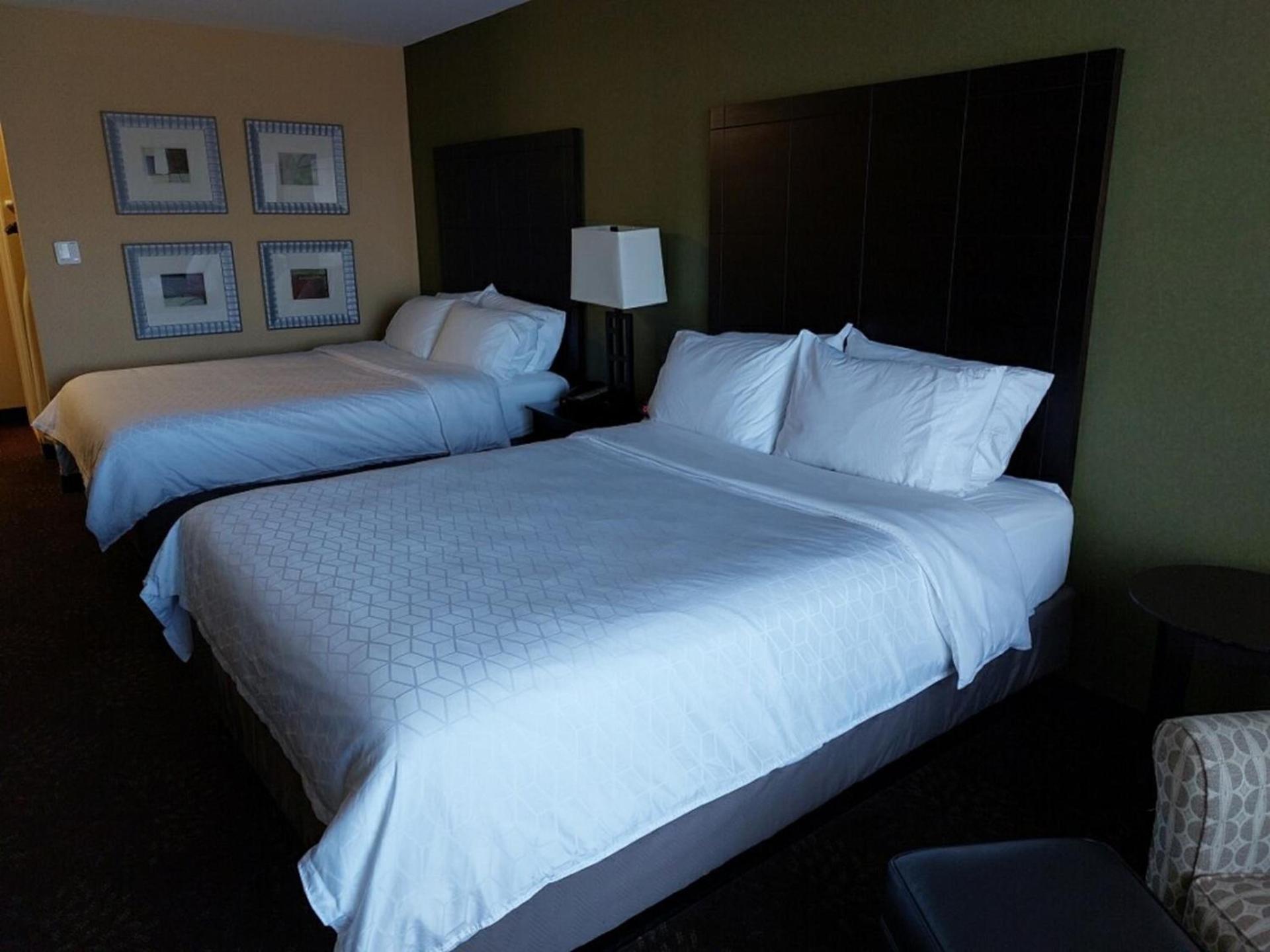Holiday Inn Express Hotel & Suites Lansing-Dimondale by IHG photo 5