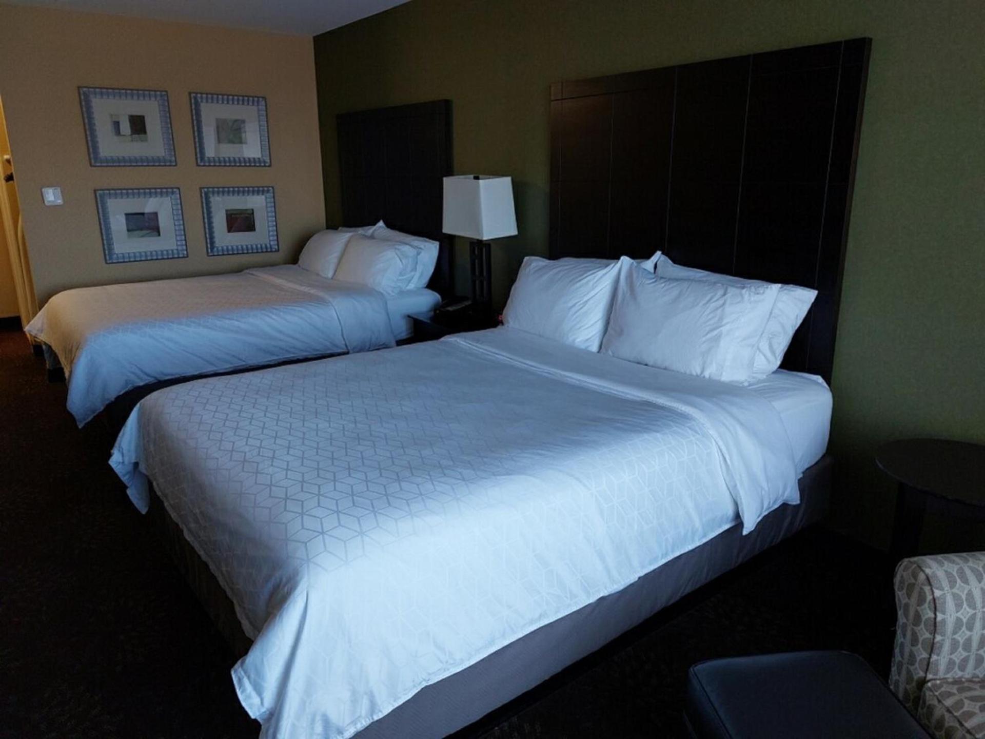 Holiday Inn Express Hotel & Suites Lansing-Dimondale by IHG photo 6