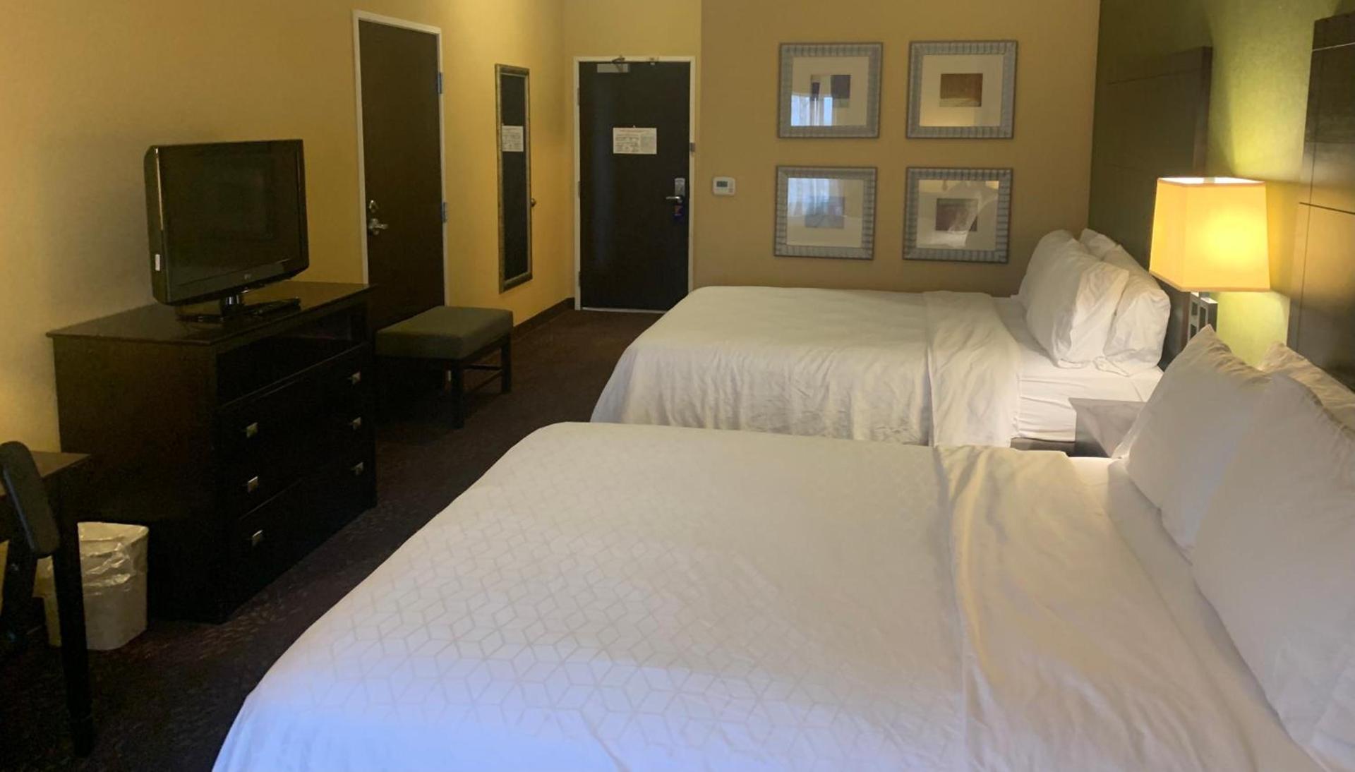 Holiday Inn Express Hotel & Suites Lansing-Dimondale by IHG photo 7