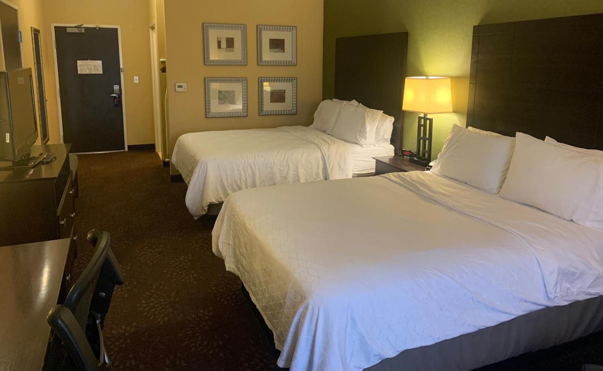 Holiday Inn Express Hotel & Suites Lansing-Dimondale by IHG photo 9