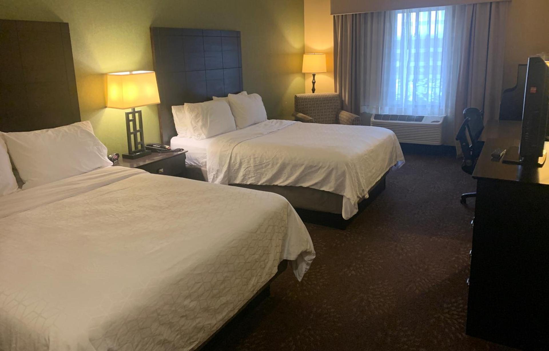 Holiday Inn Express Hotel & Suites Lansing-Dimondale by IHG photo 10