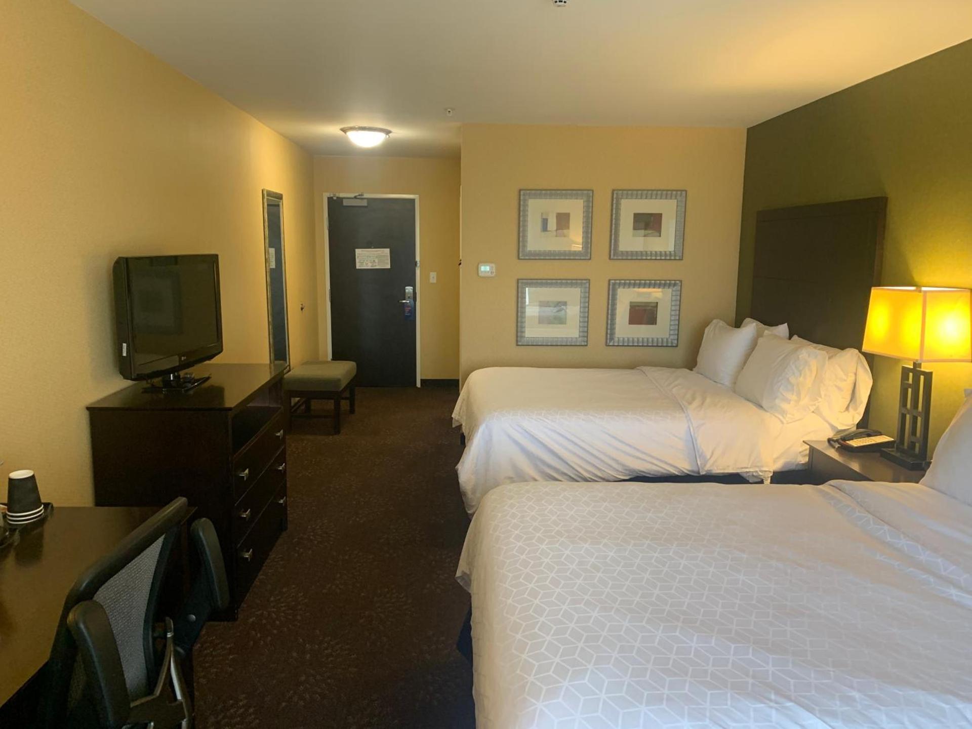 Holiday Inn Express Hotel & Suites Lansing-Dimondale by IHG photo 11