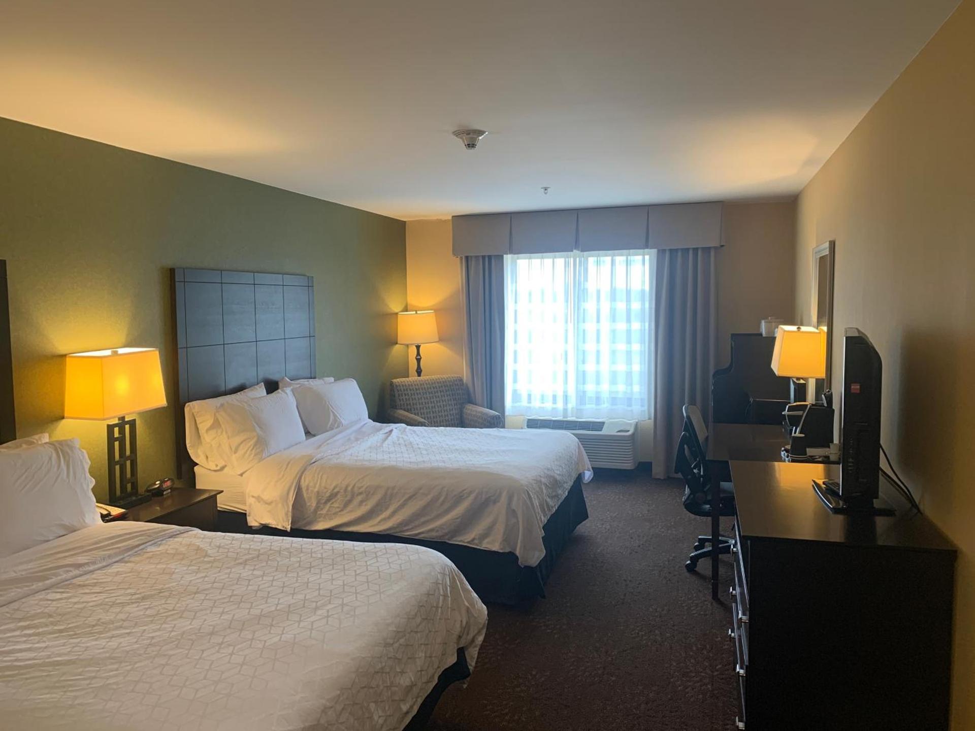 Holiday Inn Express Hotel & Suites Lansing-Dimondale by IHG photo 12