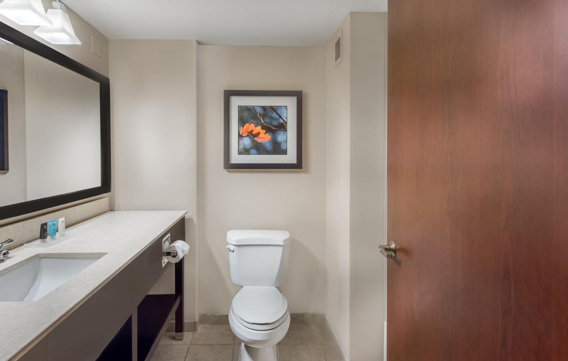 Crowne Plaza Cleveland at Playhouse Square by IHG photo 31