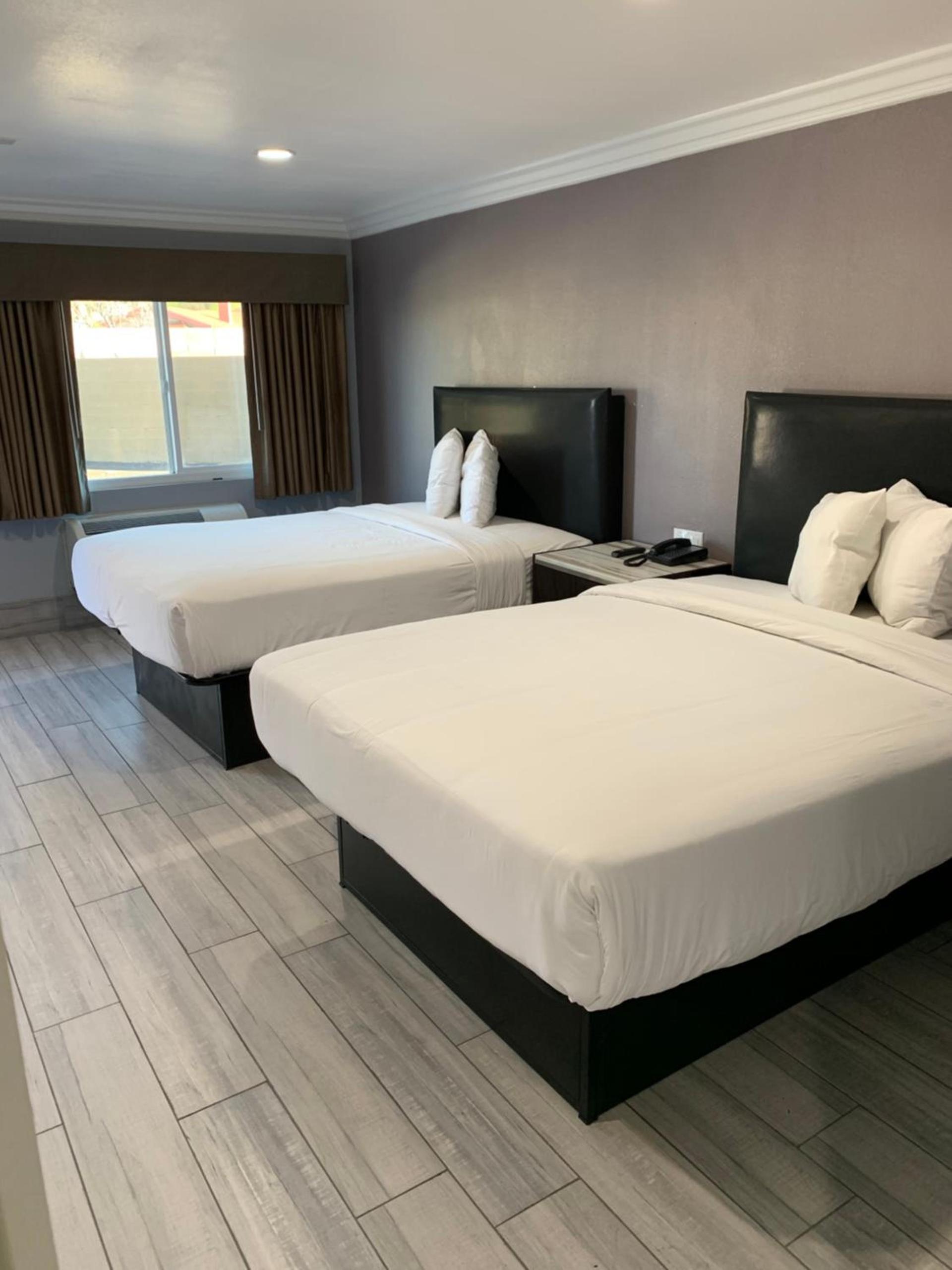 Willow Tree Inn & Suites photo 10