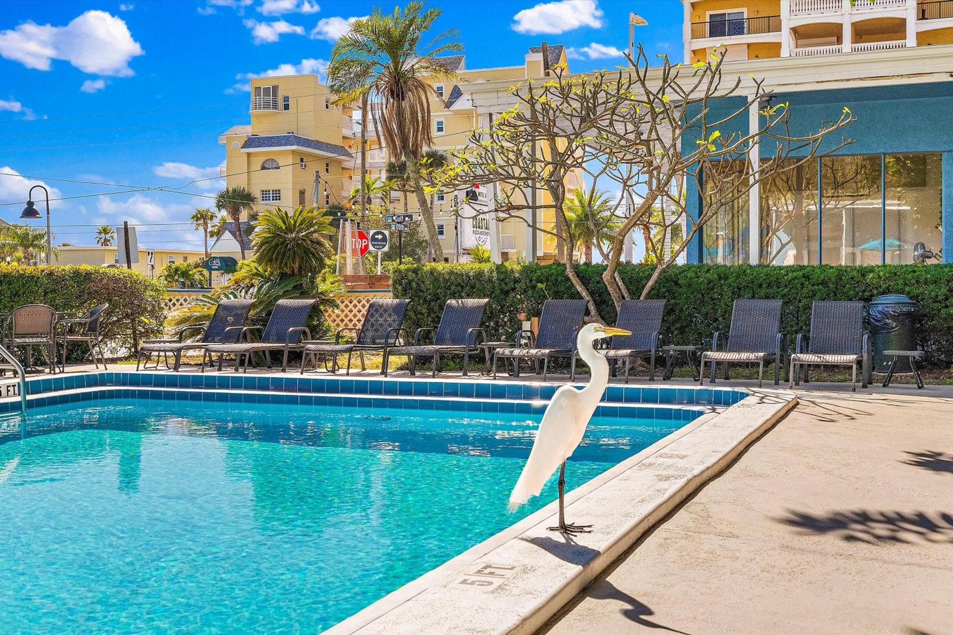 Malibu Resort Motel photo 4