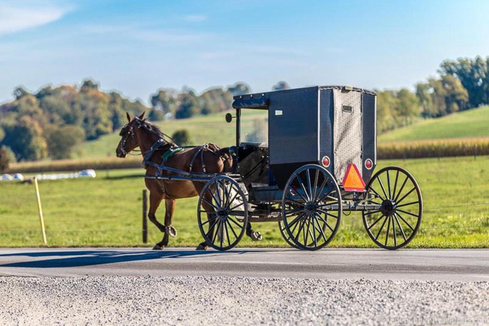 Blessing Lodge by Amish Country Lodging photo 26