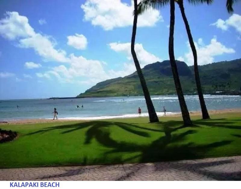 Banyan Harbor photo 20