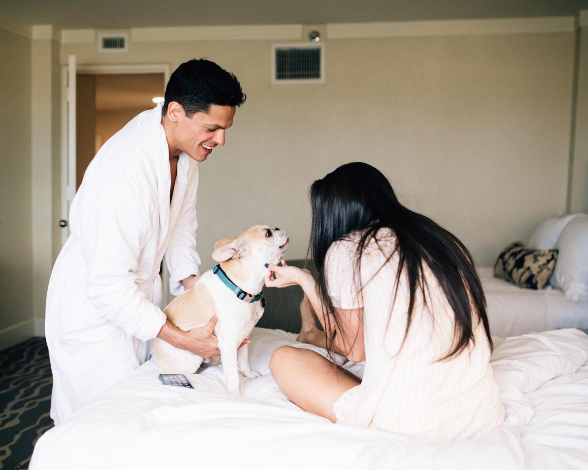 InterContinental Miami by IHG photo 16