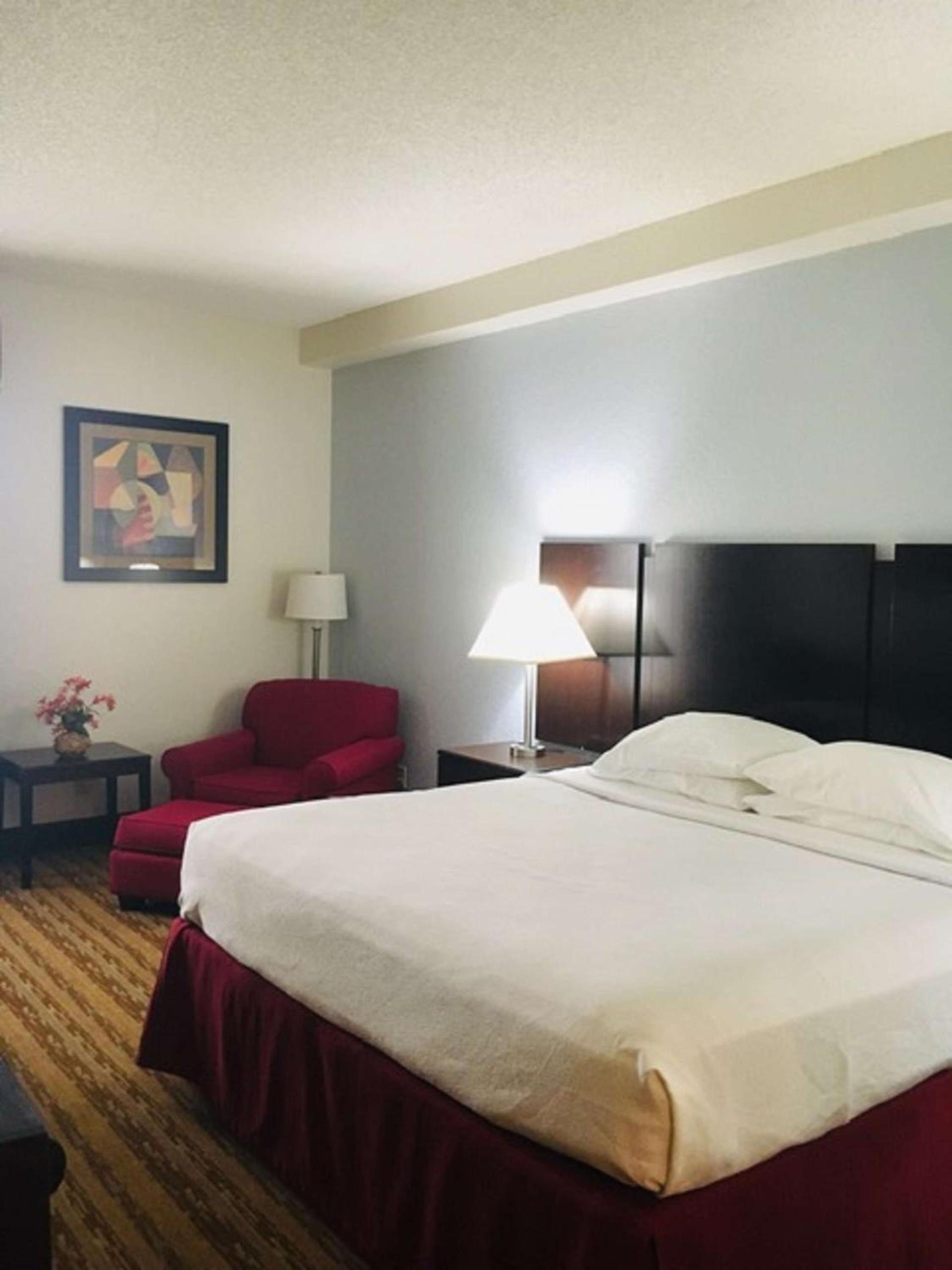 Best Western Plus Universal Inn - Free Shuttle to Universal Studios! photo 4