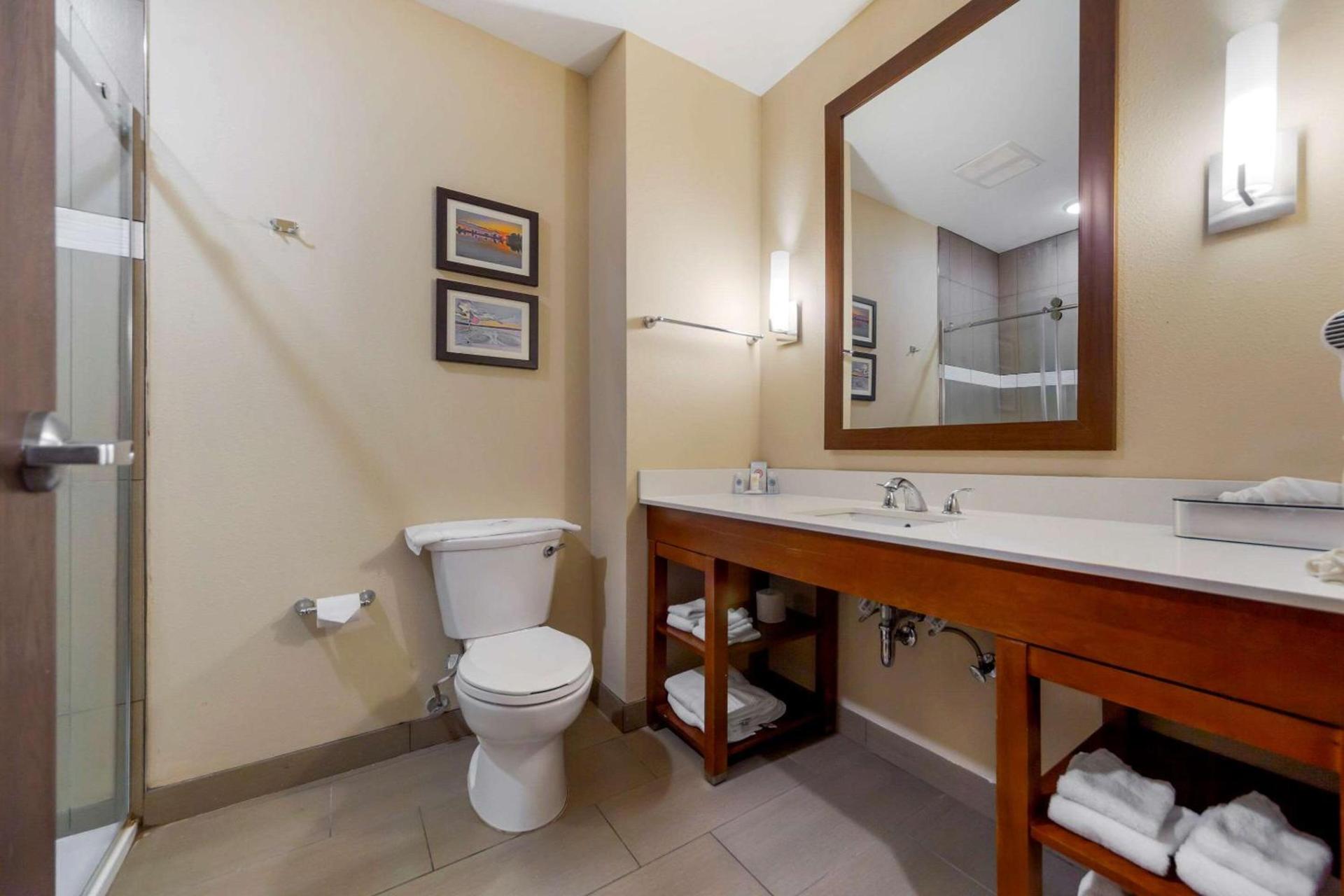 Comfort Suites photo 19