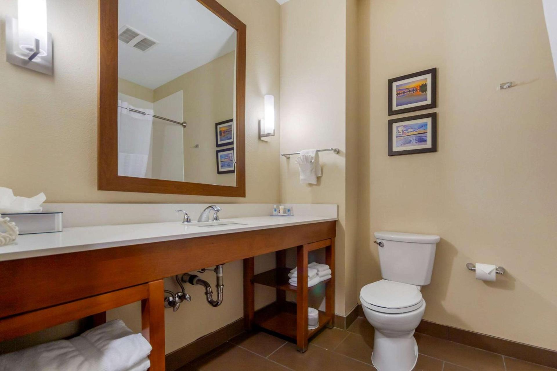Comfort Suites photo 27