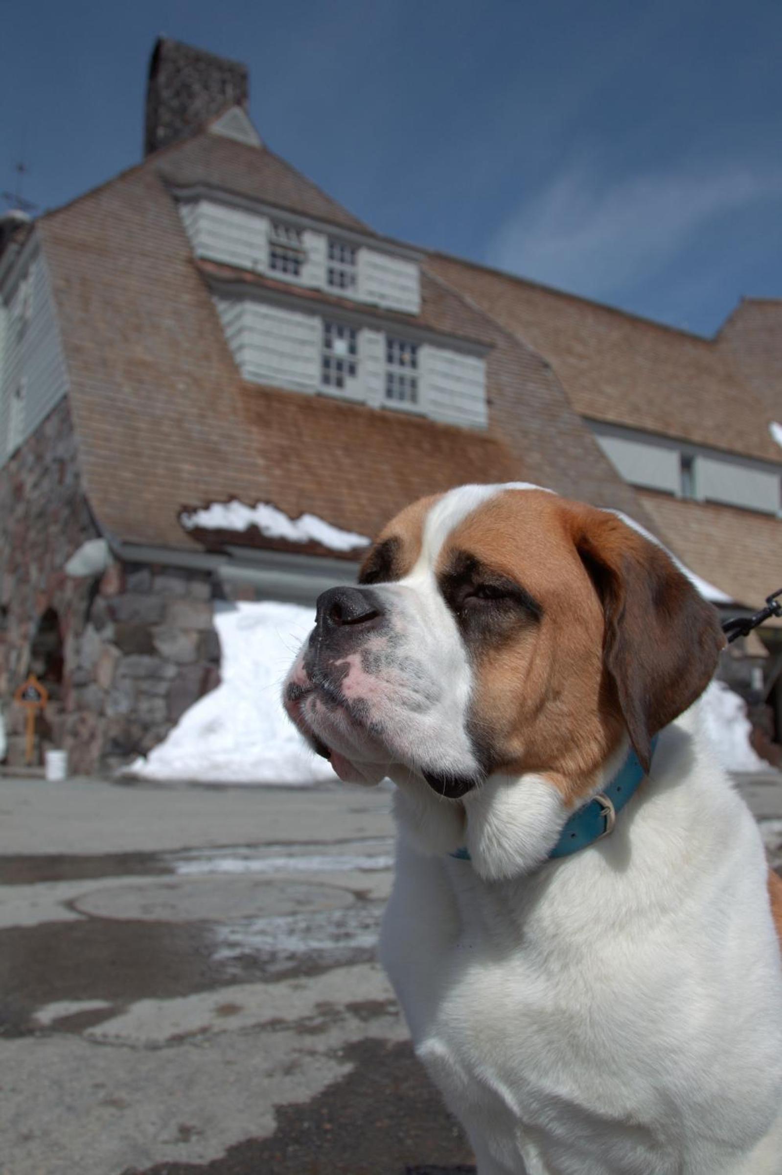 Timberline Lodge photo 16