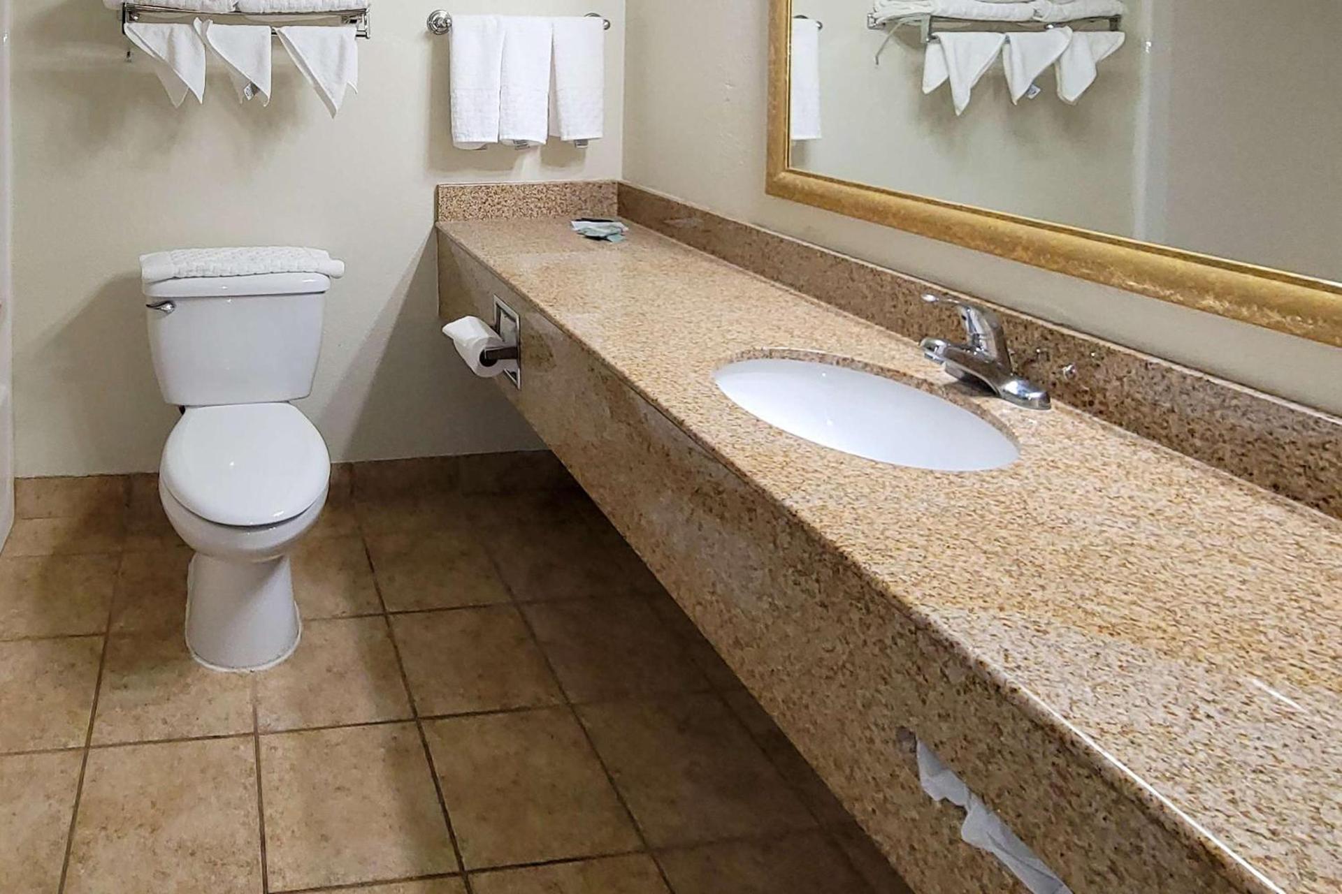 Comfort Inn & Suites Shakopee Downtown Area photo 7
