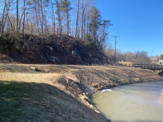 Andy Griffith Parkway Inn photo 20