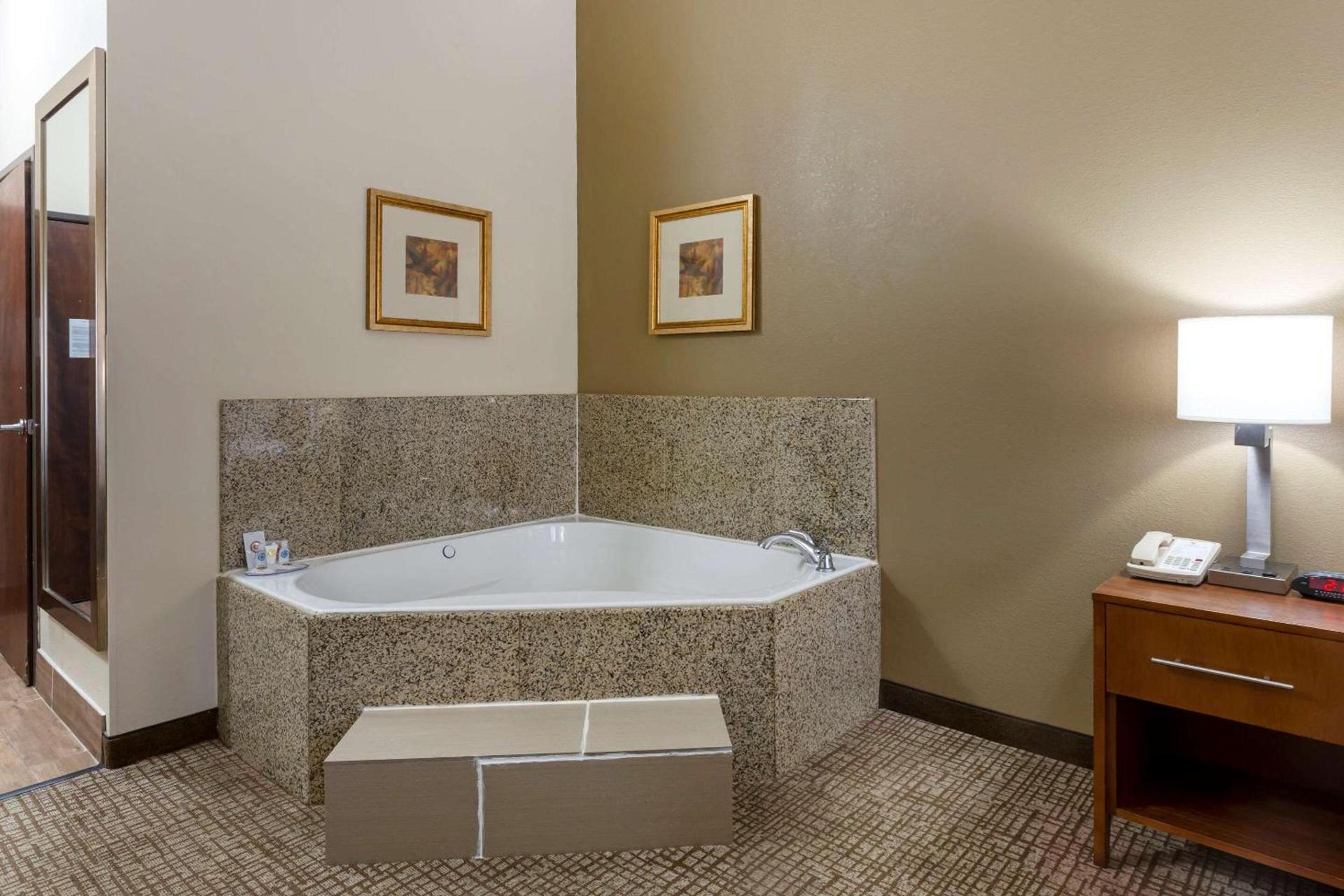 Comfort Inn photo 29