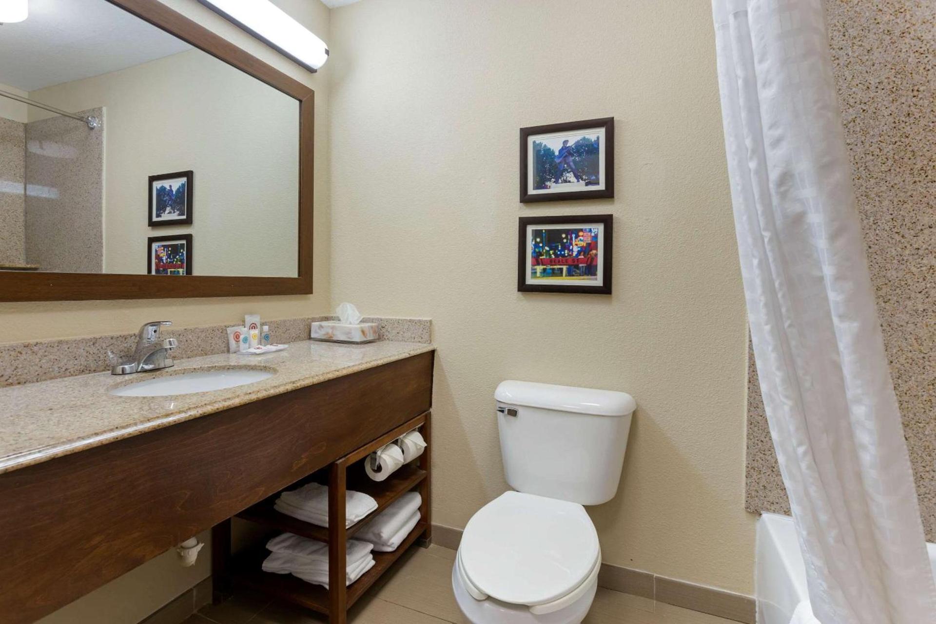 Comfort Inn photo 35