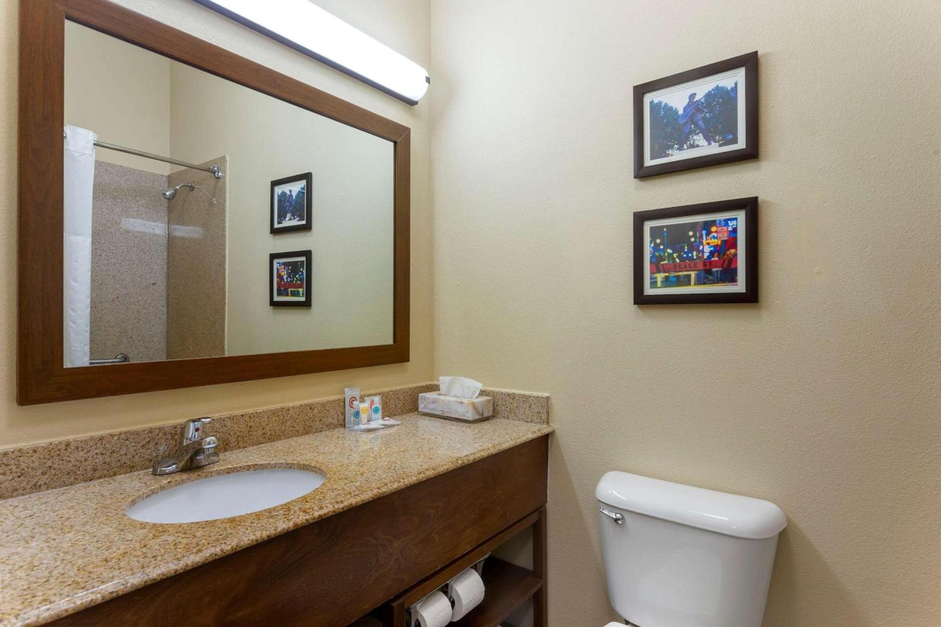 Comfort Inn photo 13