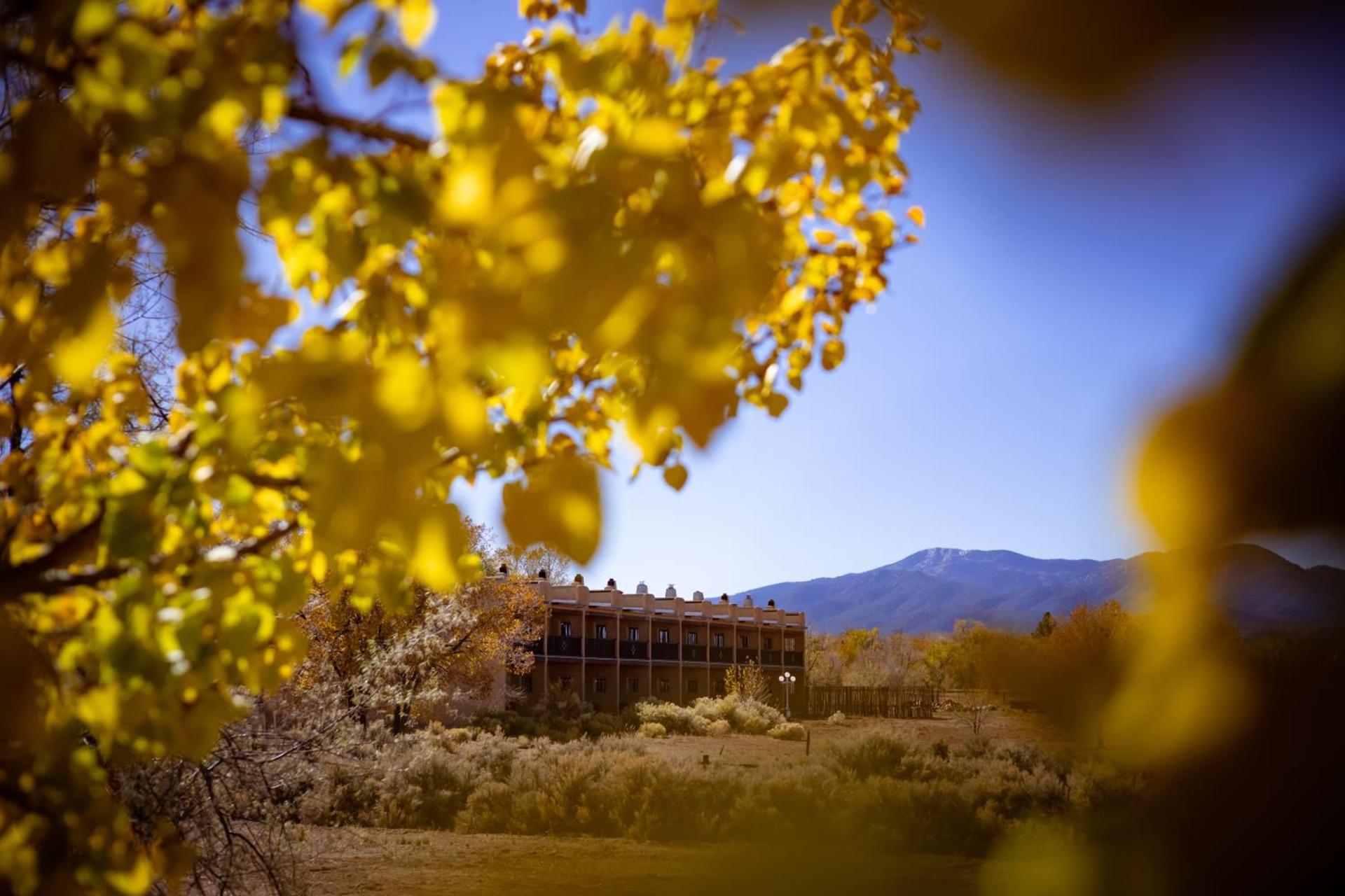 Sagebrush Inn & Suites photo 26