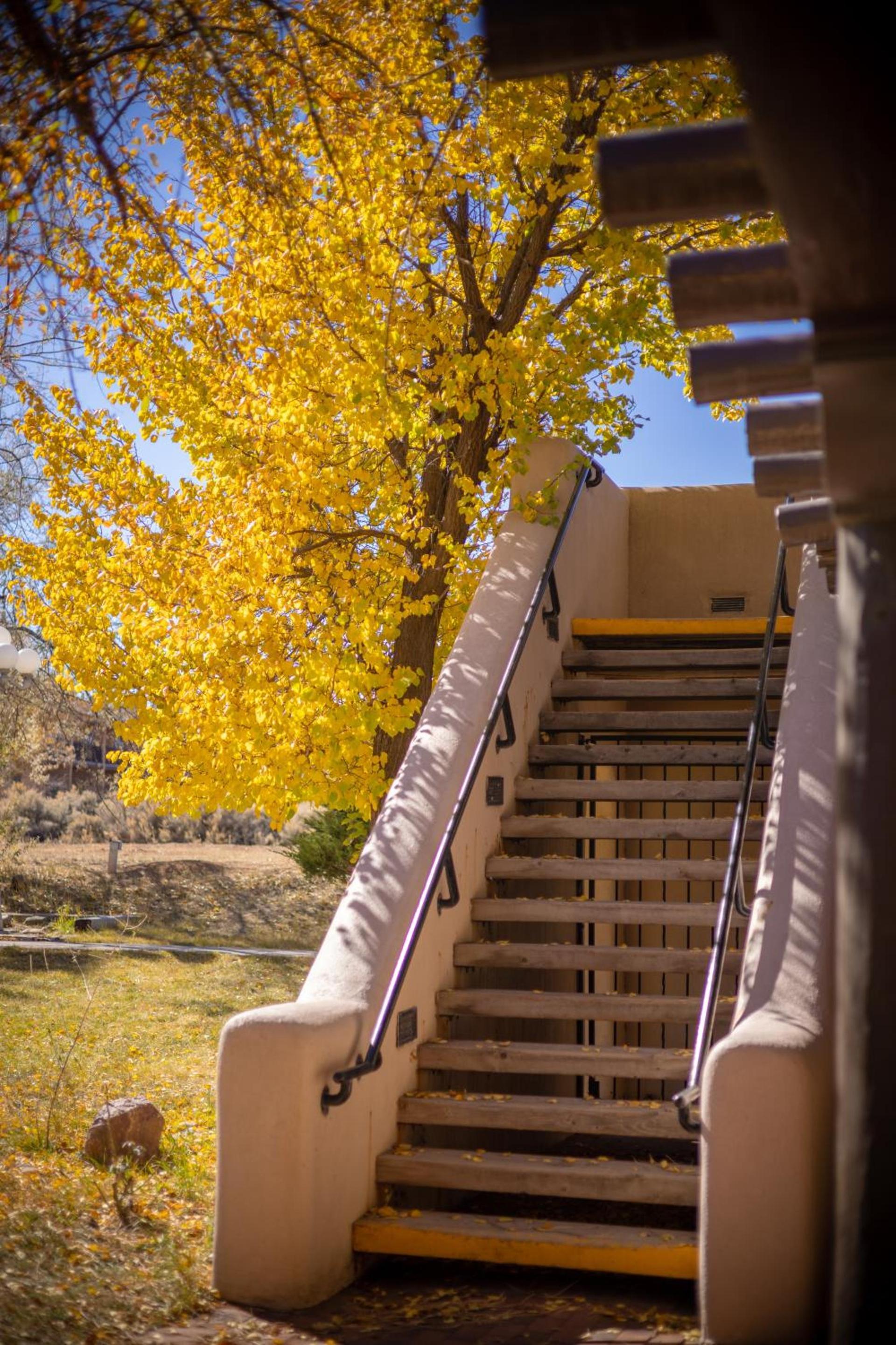 Sagebrush Inn & Suites photo 34