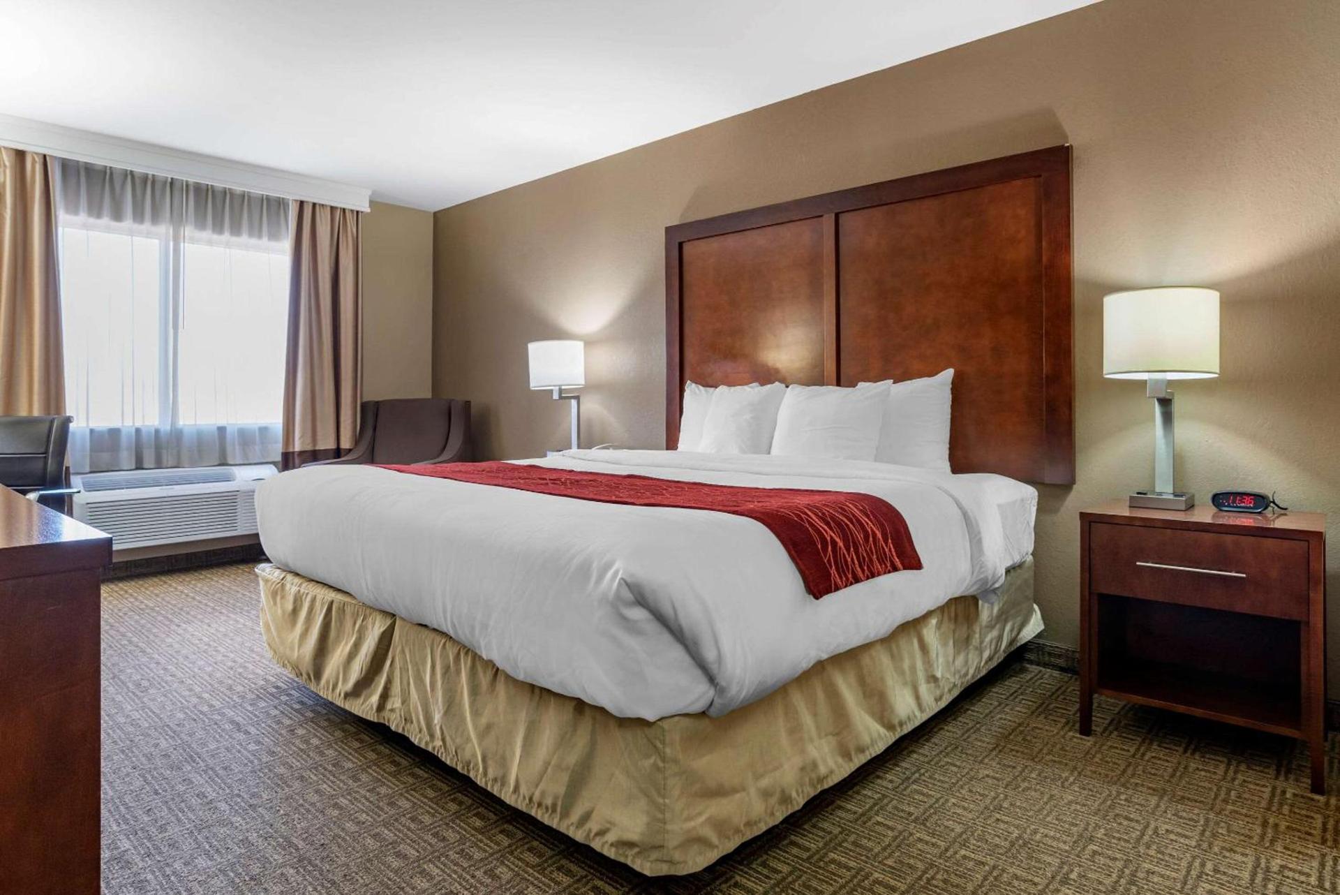 Comfort Inn & Suites Leeds I-20 photo 3