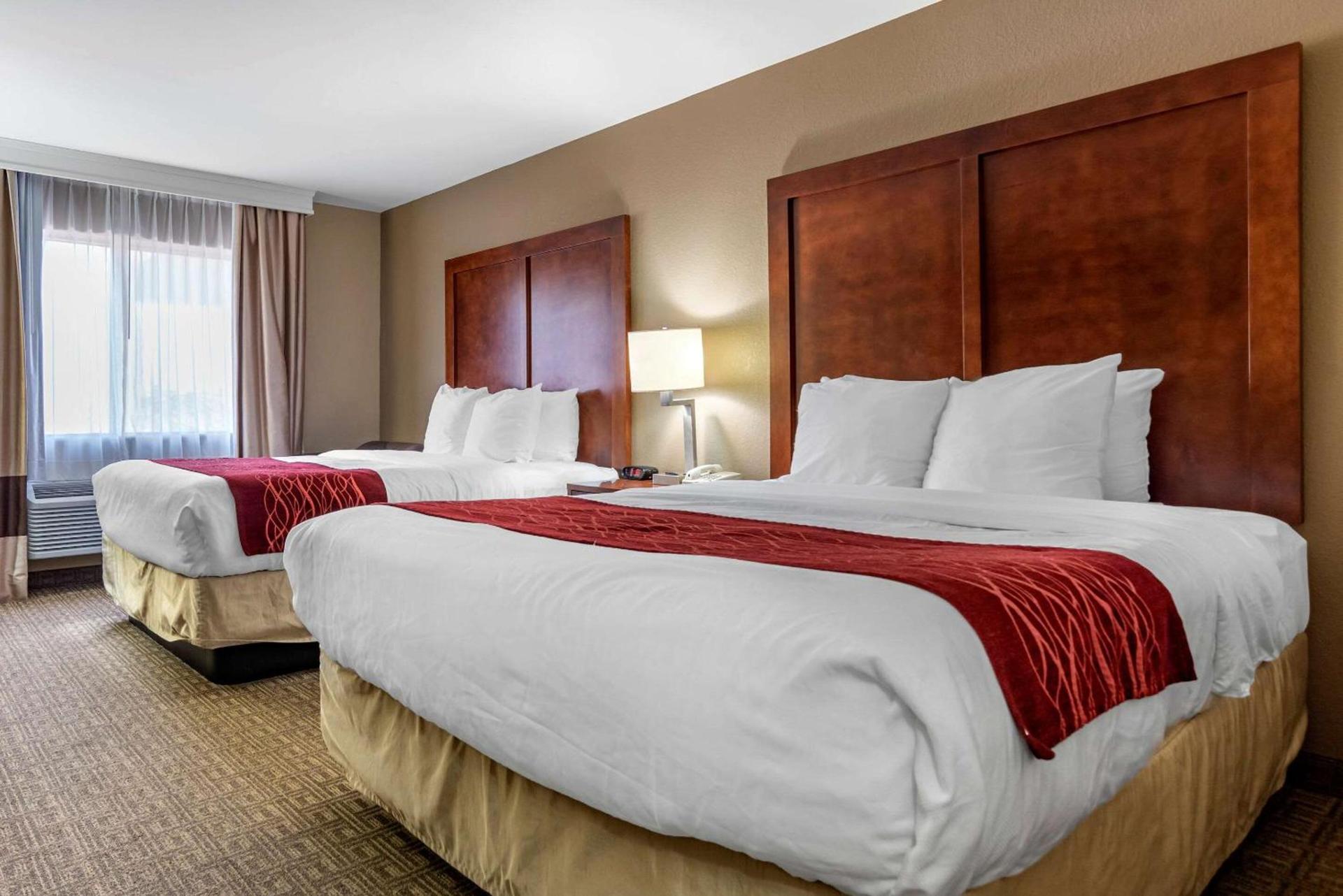 Comfort Inn & Suites Leeds I-20 photo 7