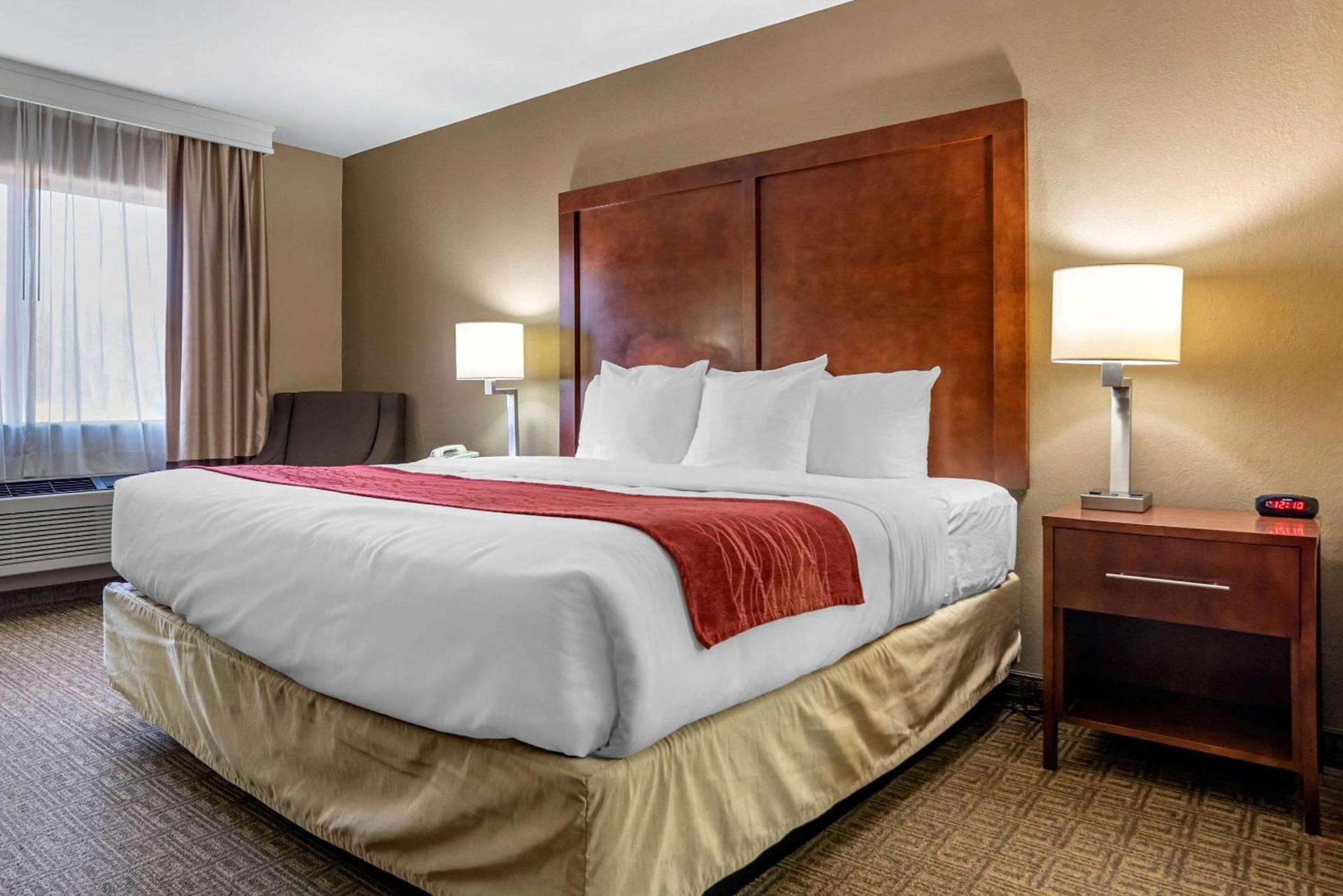 Comfort Inn & Suites Leeds I-20 photo 13