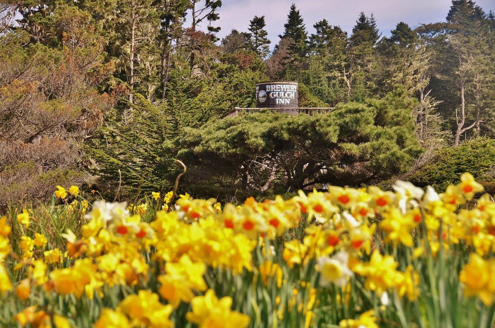 Brewery Gulch Inn & Spa photo 65