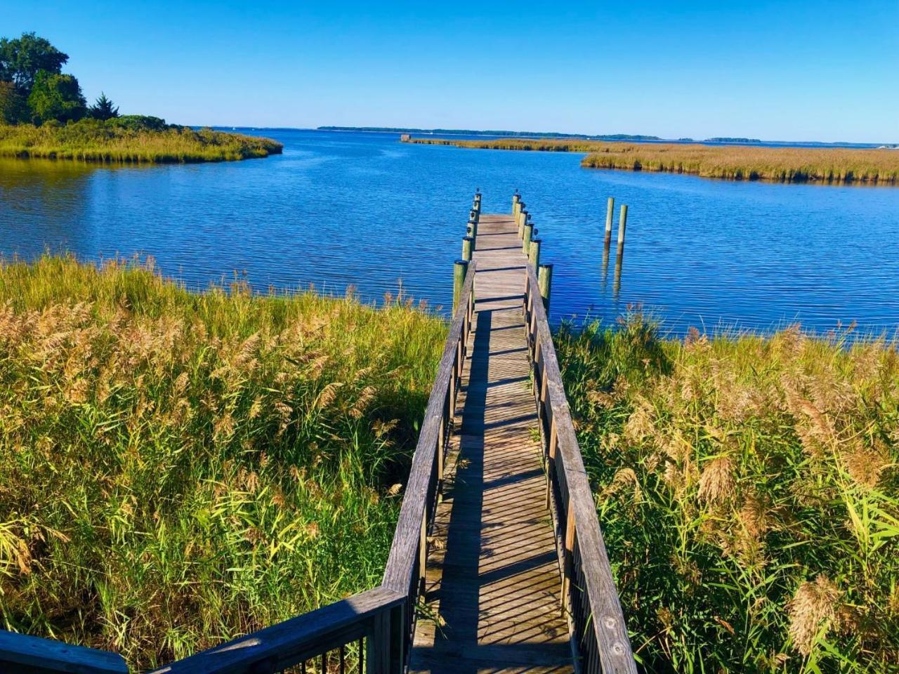 Holiday Inn Express Annapolis East-Kent Island by IHG photo 5